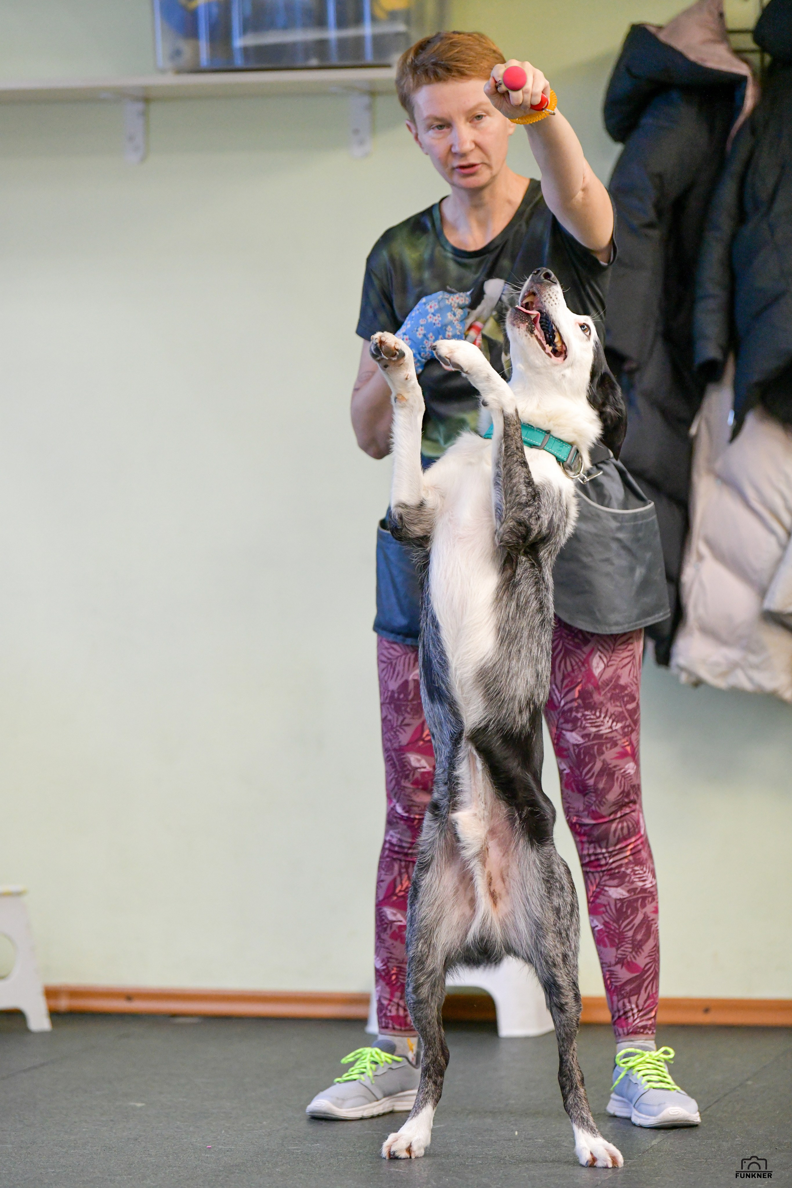 Кинологический клуб «Бодрый хвост». Свой взгляд через объектив