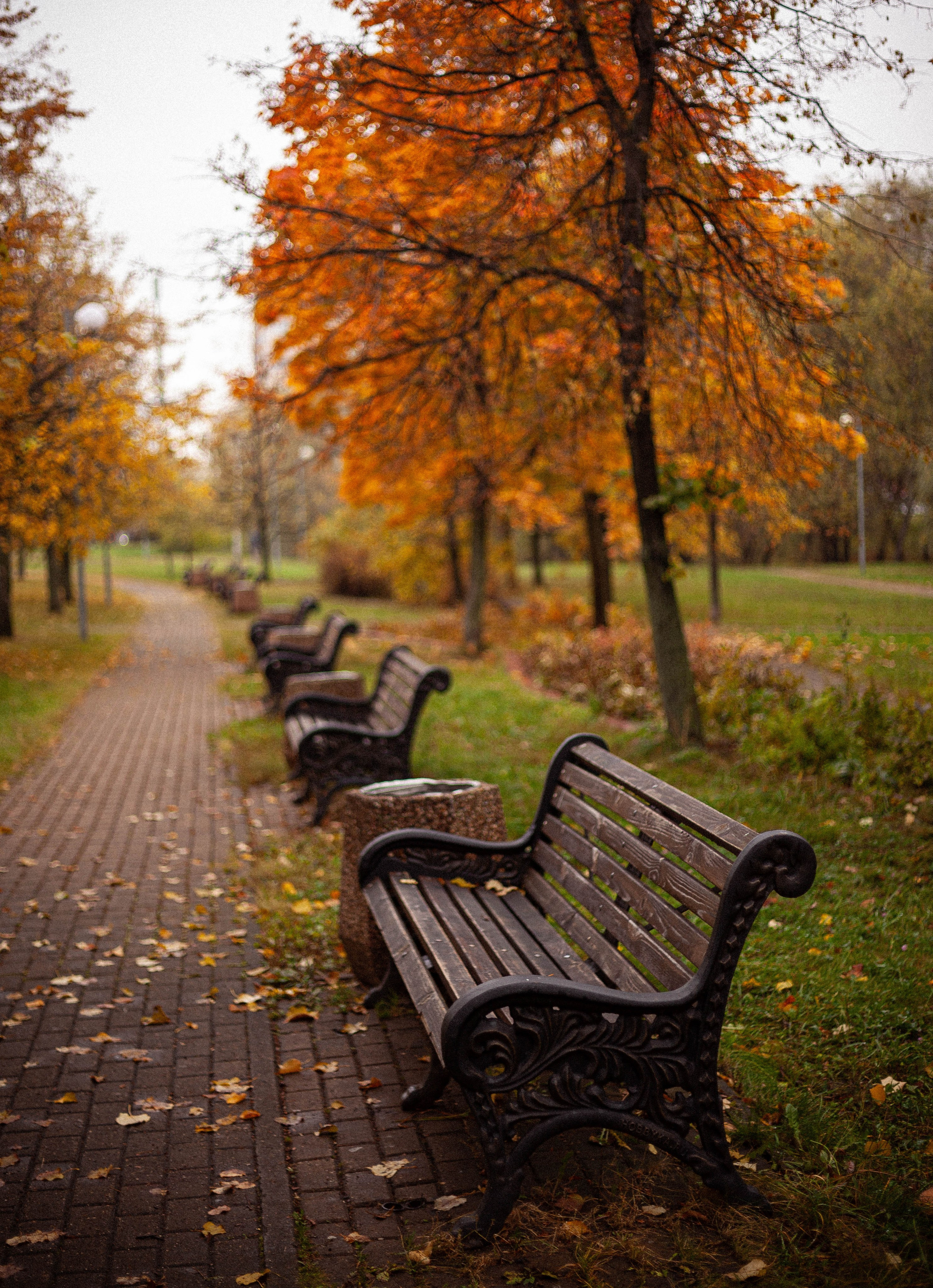 Осенняя серия. Фотограф в Москве. Екатерина Митина