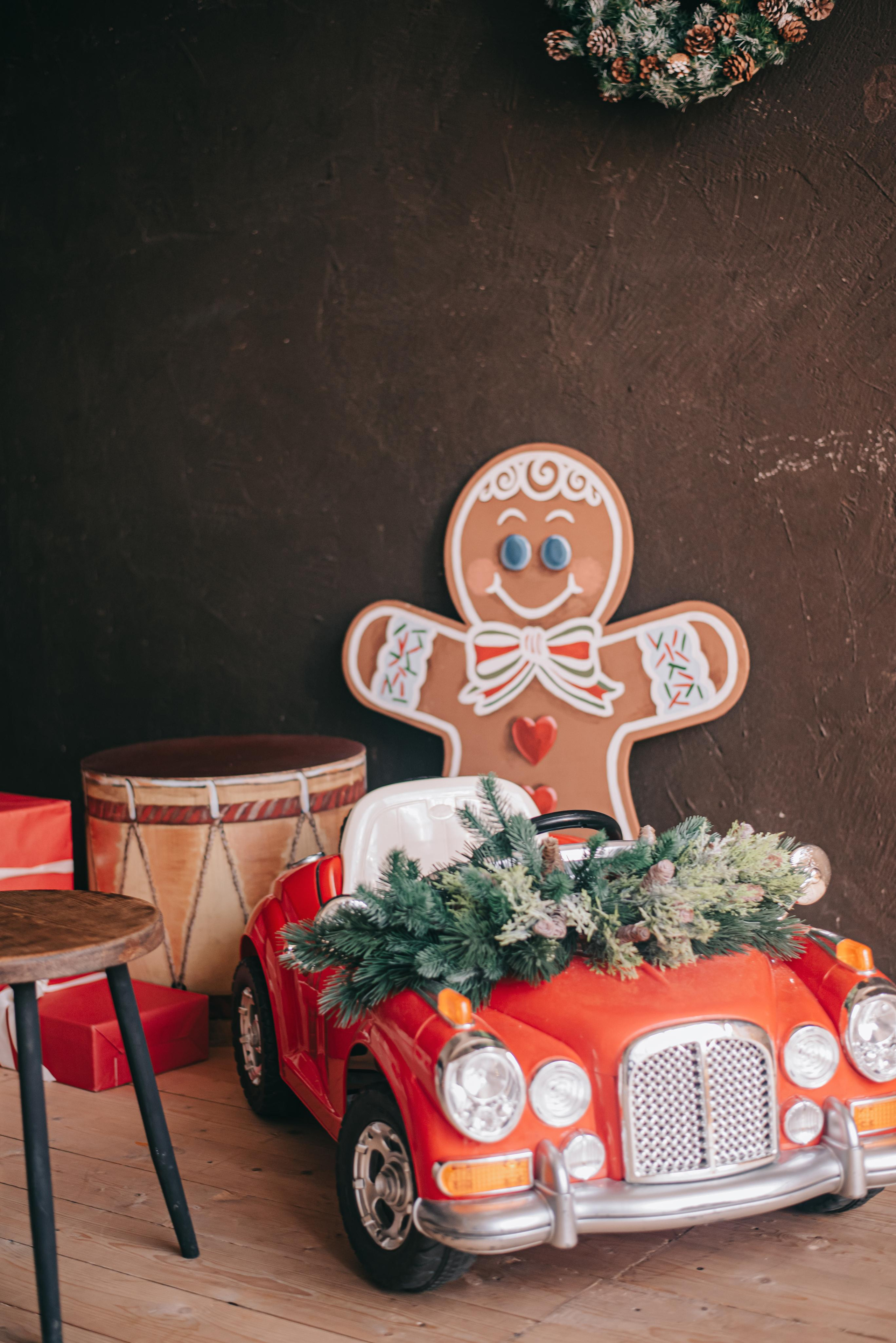 Семейная новогодняя фотосъемка Васильевых. Фотограф в Краснодаре Зеленкина Дарья