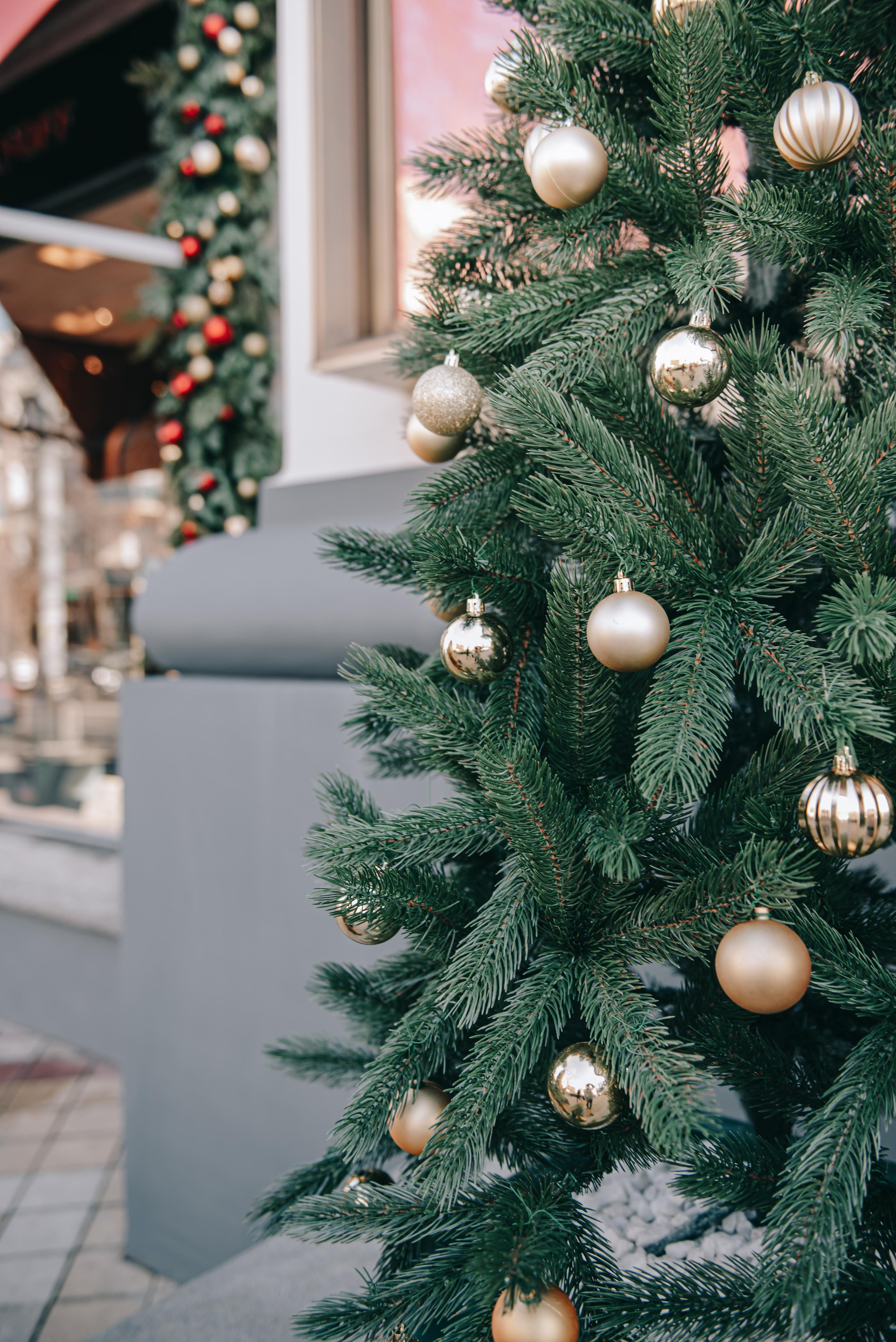 Семейная новогодняя фотосъемка Рябовых. Фотограф в Краснодаре Зеленкина Дарья