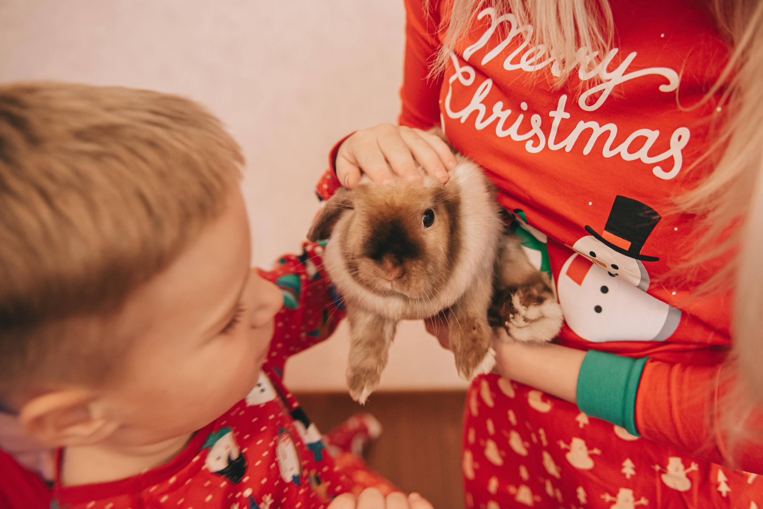 Семейная новогодняя фотосъемка Рябовых. Фотограф в Краснодаре Зеленкина Дарья