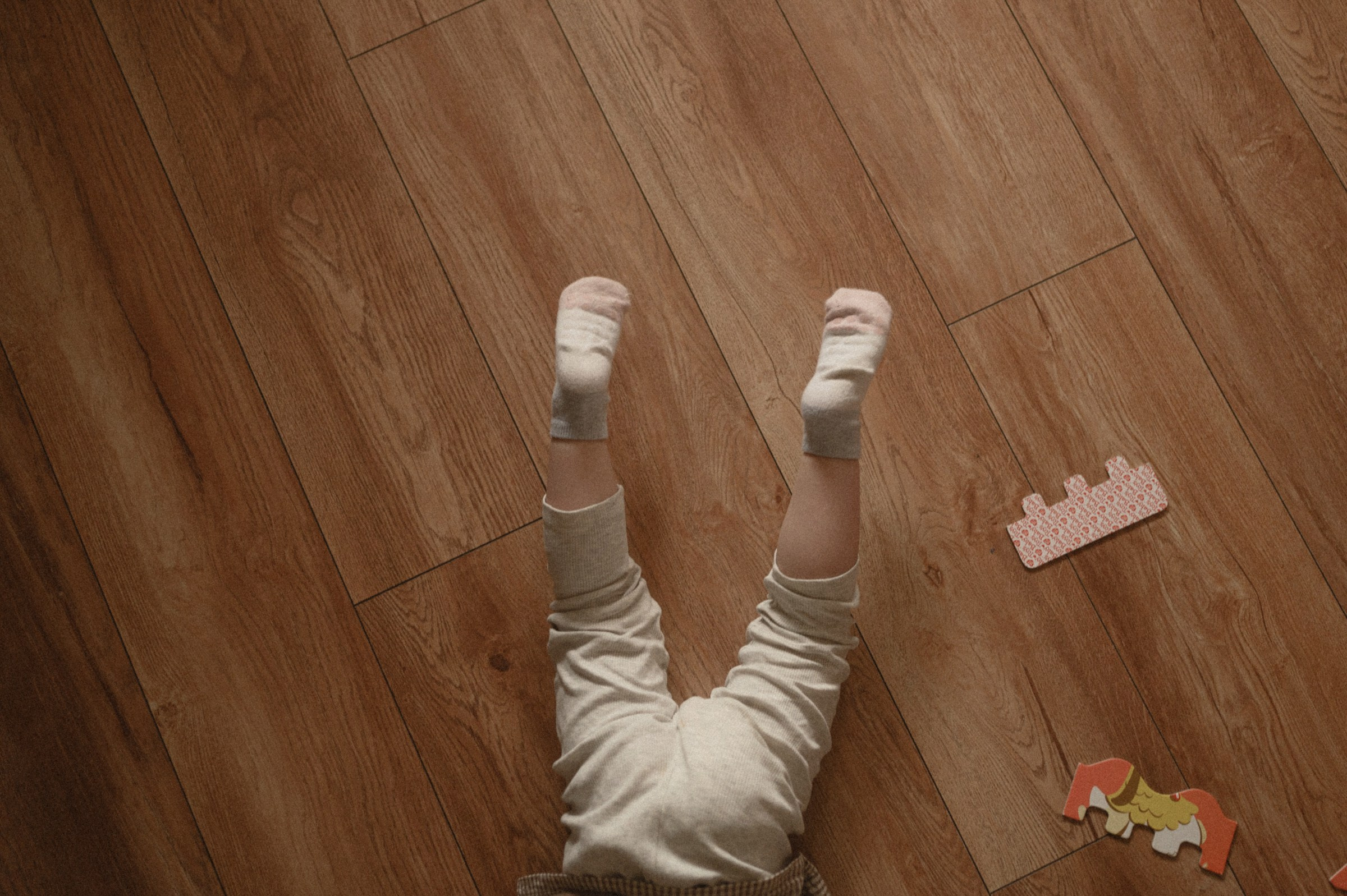 Сергей, Регина и Олива. Свадебный и семейный фотограф в Ростове-на-Дону