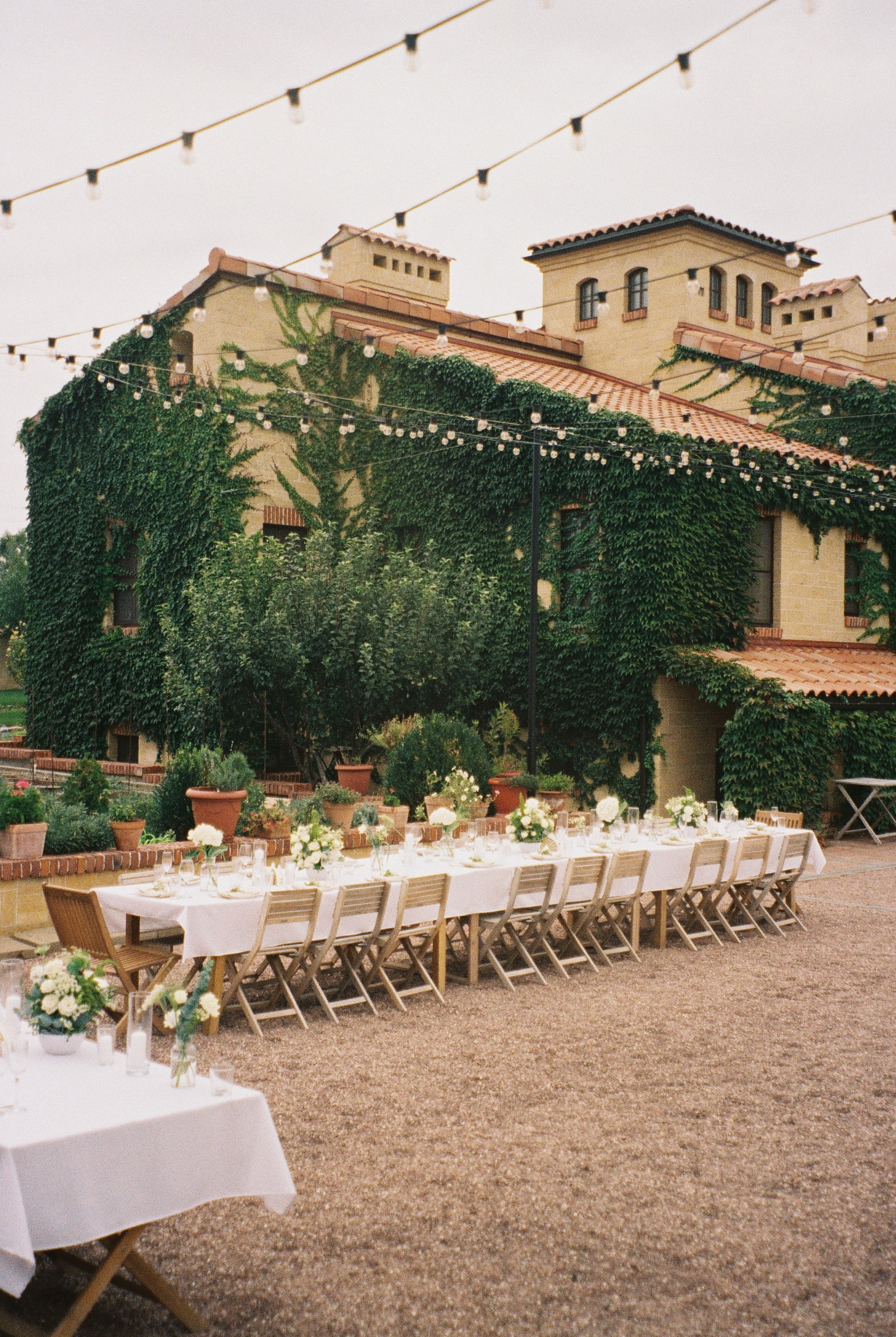 Плёнка. Свадебный фотограф в Краснодаре и Сочи Винидиктова Екатерина