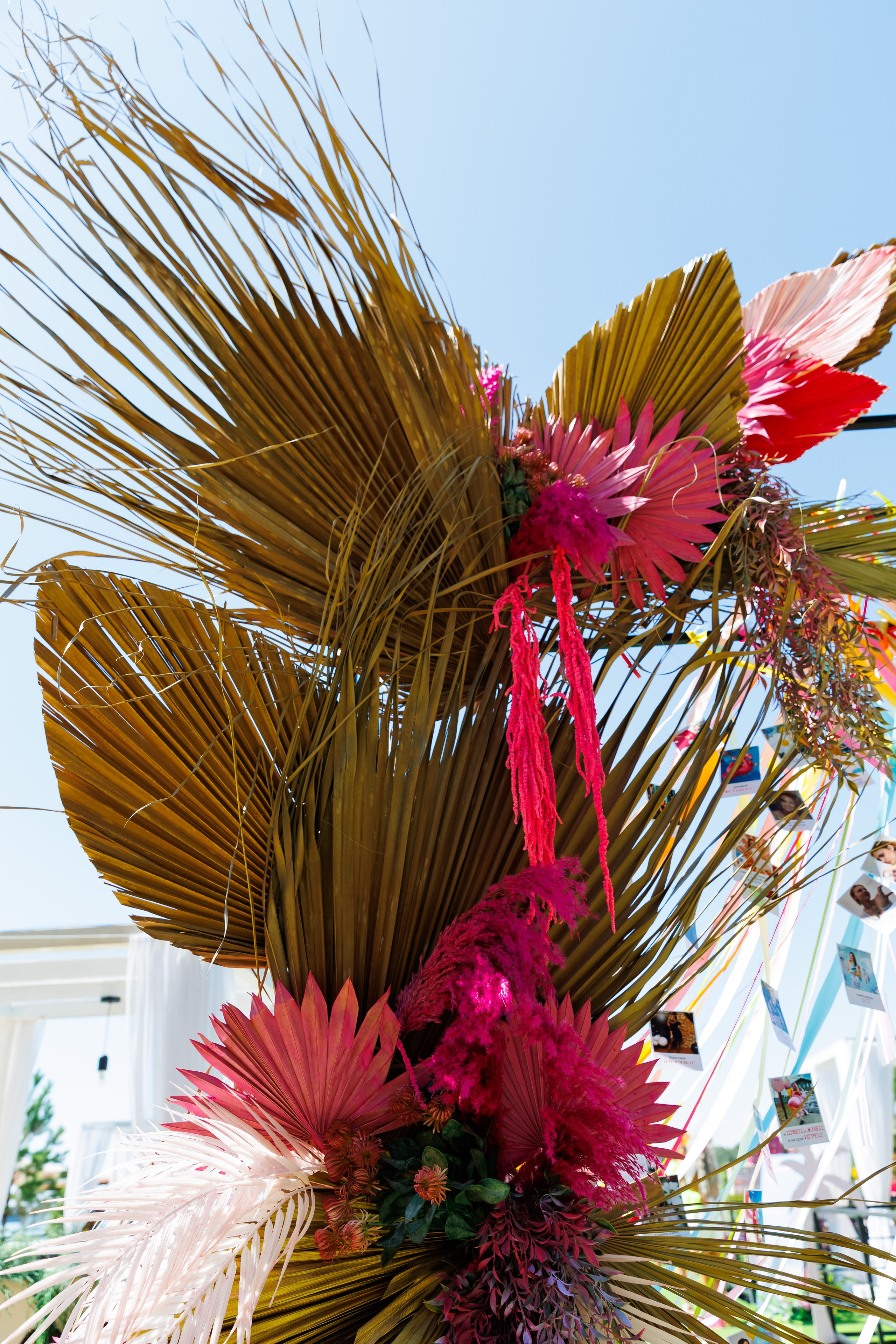 Летняя вечеринка декораторов ШИУ. Фотограф Новосибирск — Наталья Гресь