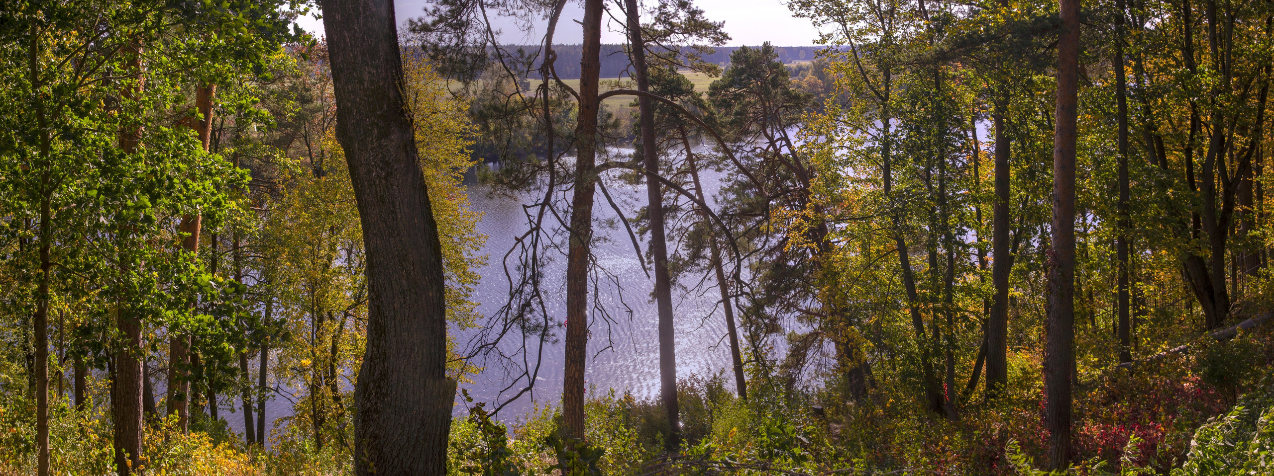 Архангельское. Сентябрь 2023. Игорь Жучков. Россия увиденная глазами путешествующего фотографа