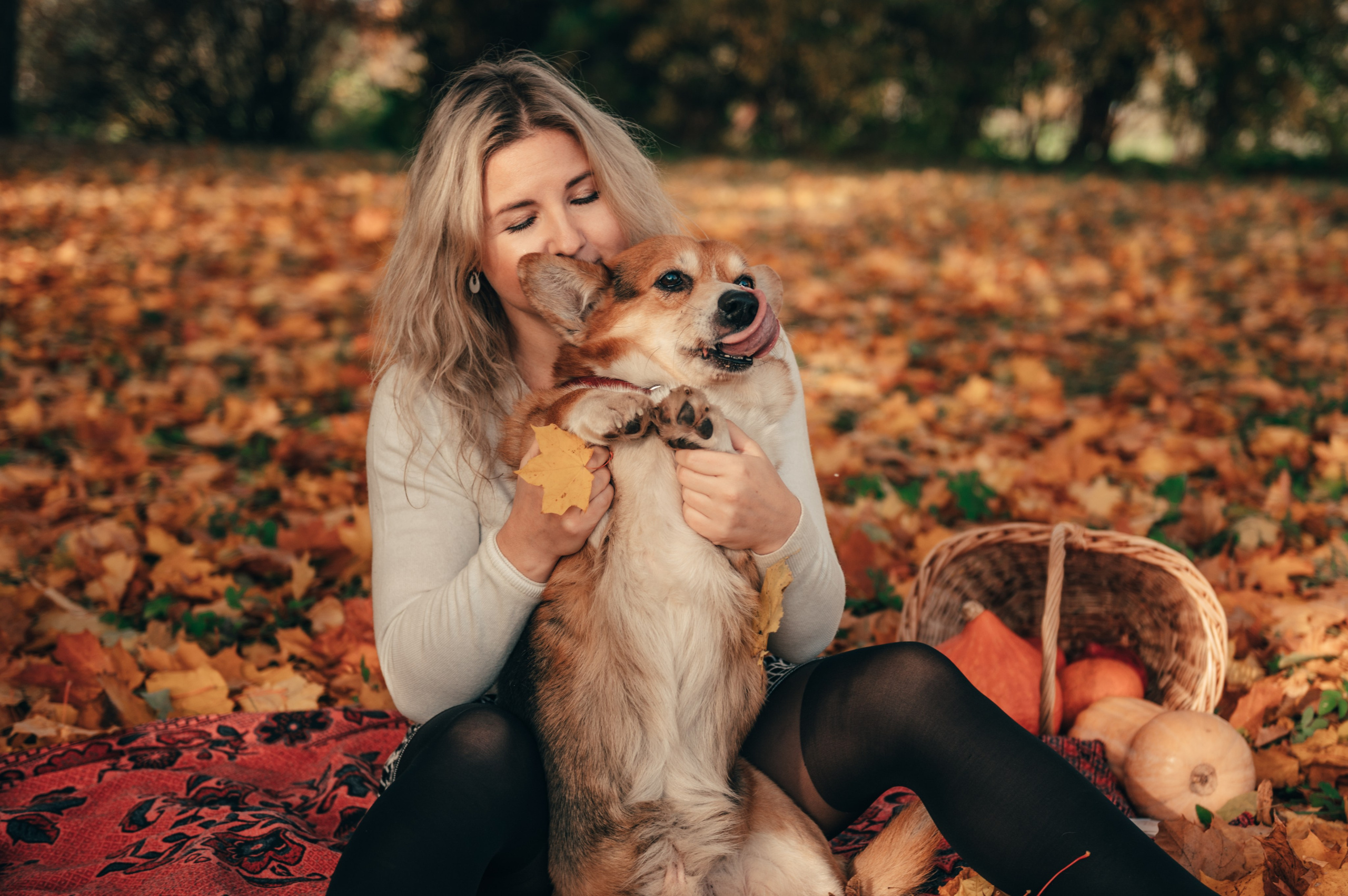 Все краски осени. Свадебный и семейный фотограф София Невская