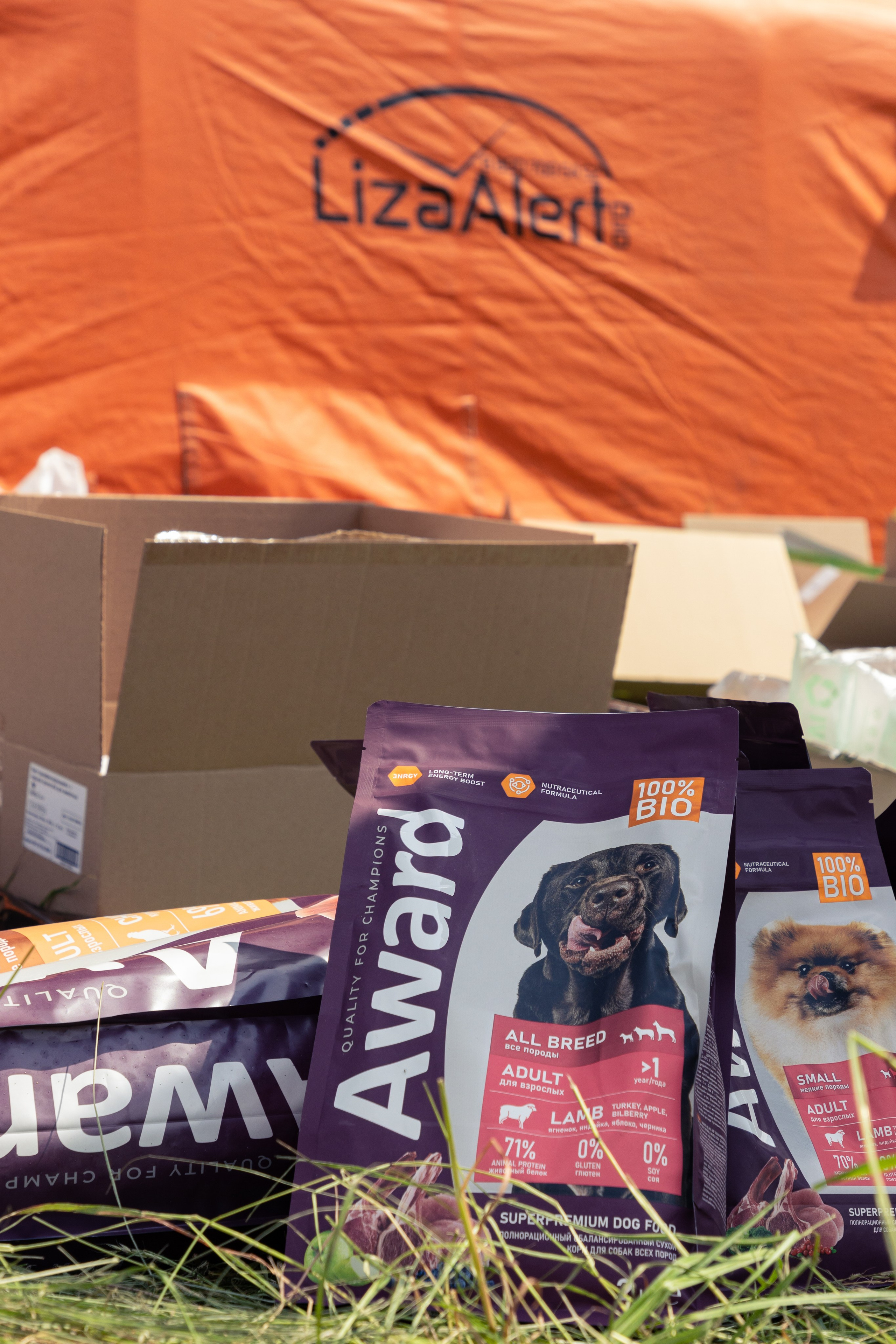 ДПСО «ЛизаАлерт». Главная