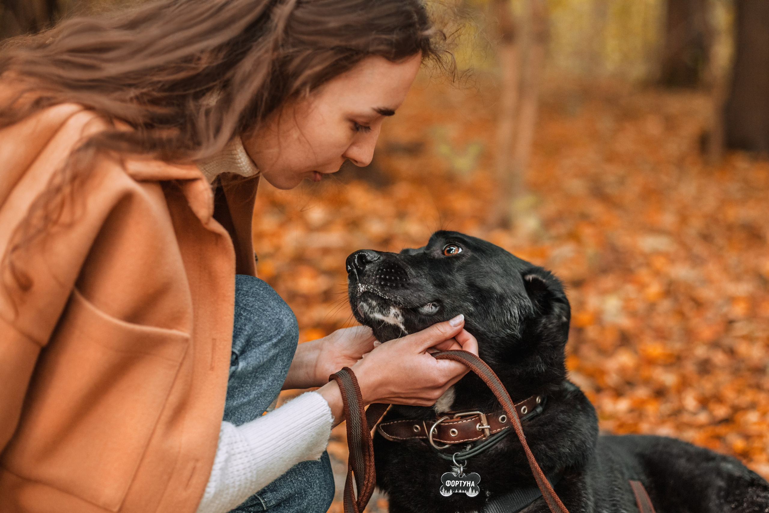 Юля и Фортуна. Фотограф-анималист Татьяна Степанова