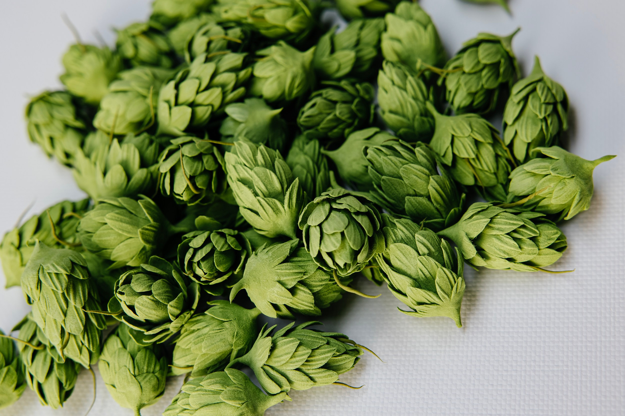 Свадебный фотограф Минск Москва Репортажный Фотограф Минск Москва. Свадебный фотограф — Крюков Константин