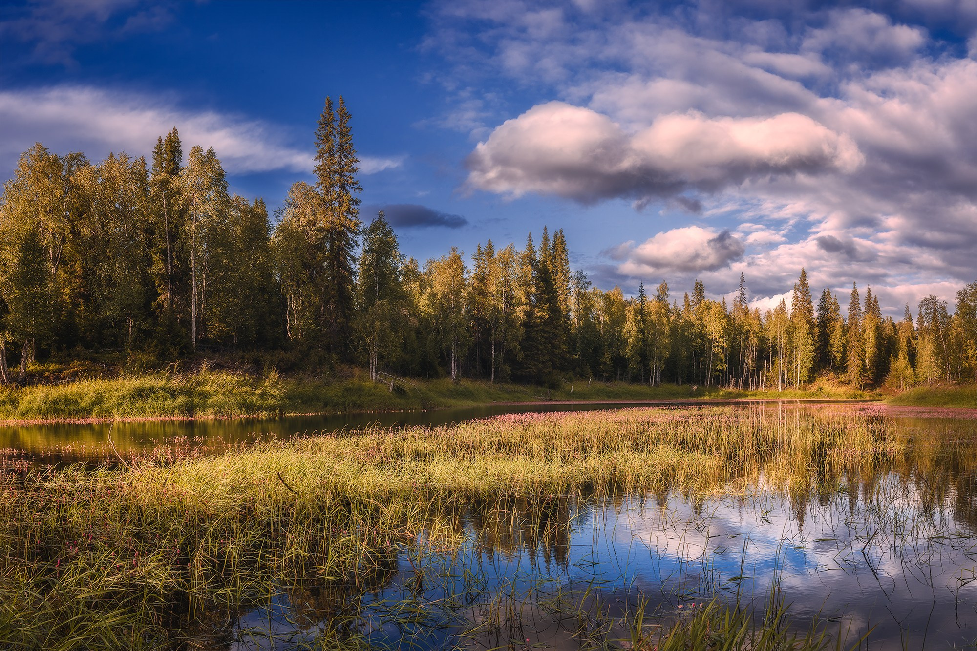 Пейзаж. Аэросъемка в Архангельске, Александр Ермолин