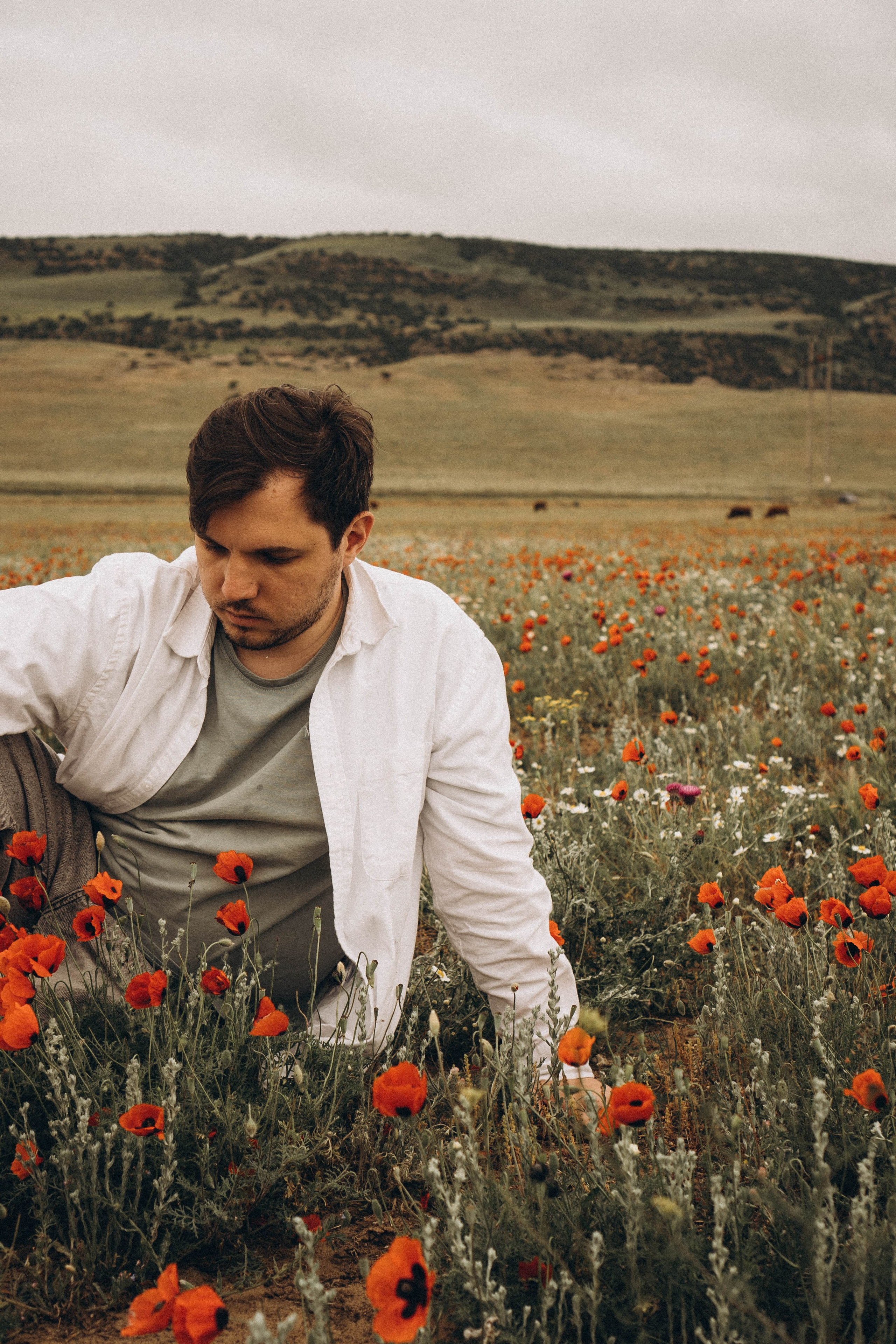 Маки. Профессиональный фотограф, Санкт-Петербург — Виктория Богомолова