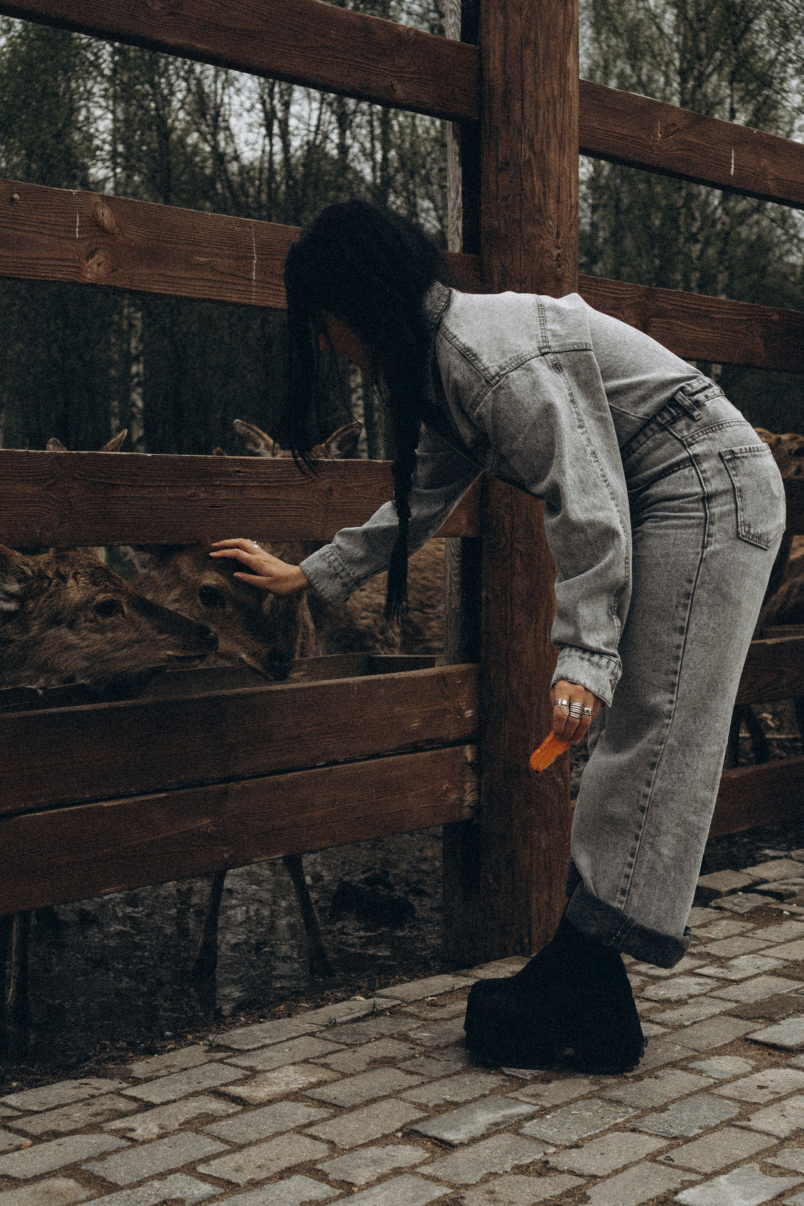 ОЛЕНЬЯ ФЕРМА В ТВЕРИ. Профессиональный фотограф, Санкт-Петербург — Виктория Богомолова