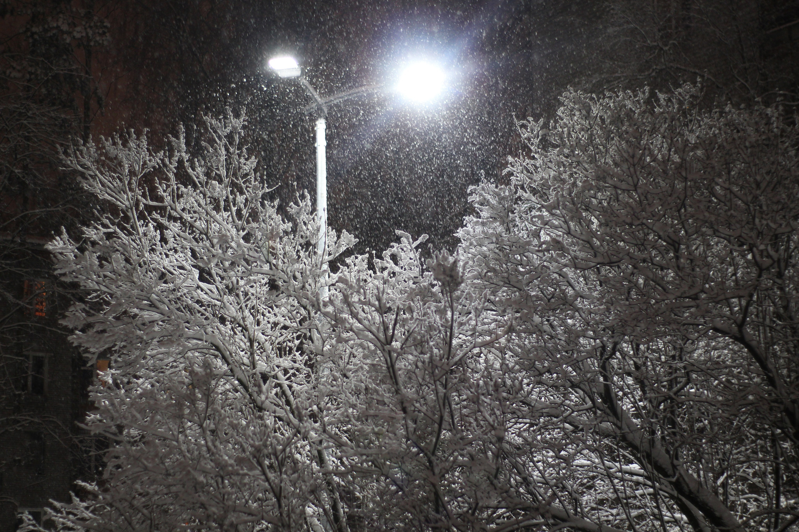 Пазлы. Фотохудожник Татьяна Бойцова