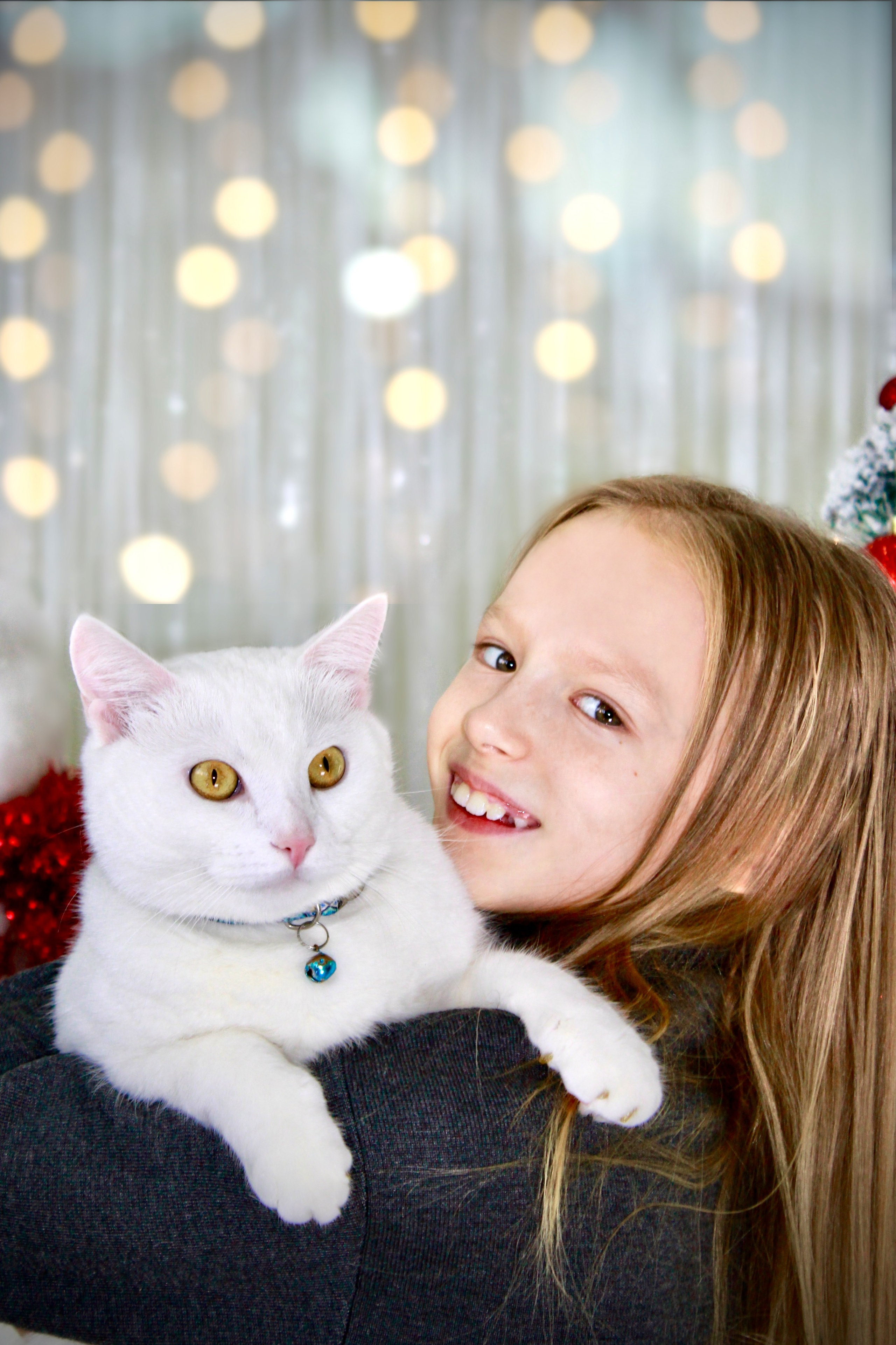 Новогодняя фотосессия. Портфолио