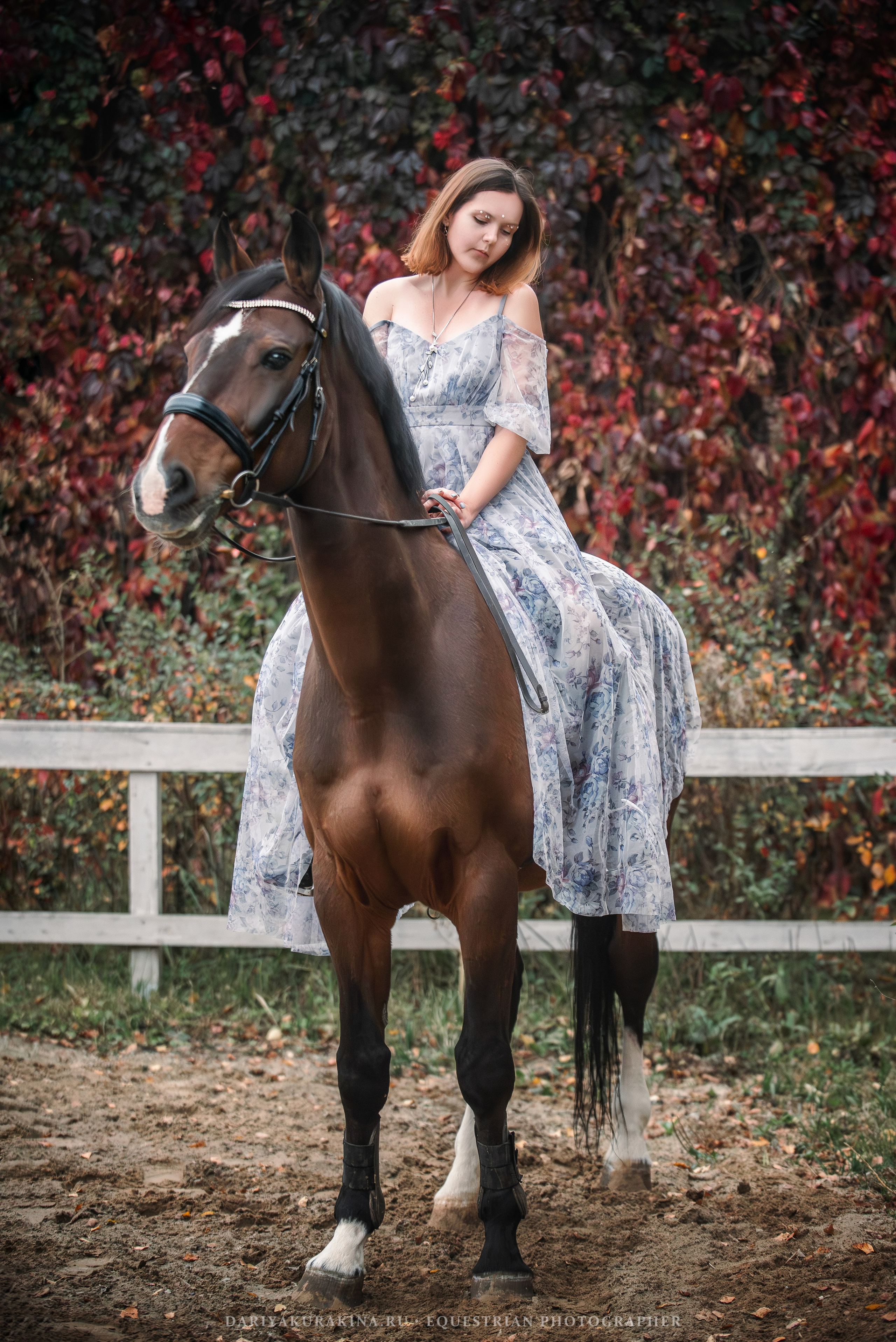 Василиса и ЛеМар. Конный фотограф Куракина Дарья • Фотосессии с лошадьми