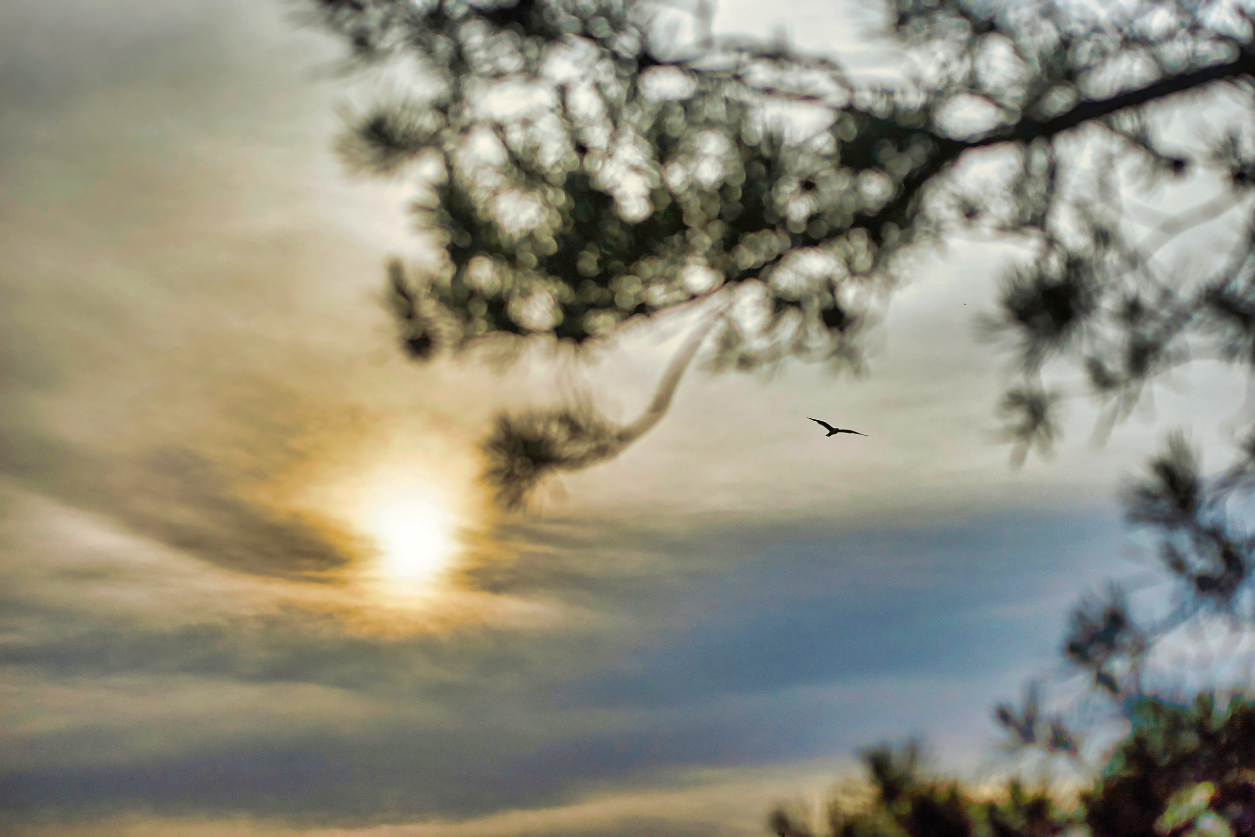 Наша мать — природа. Фотограф Владимир Артамонов