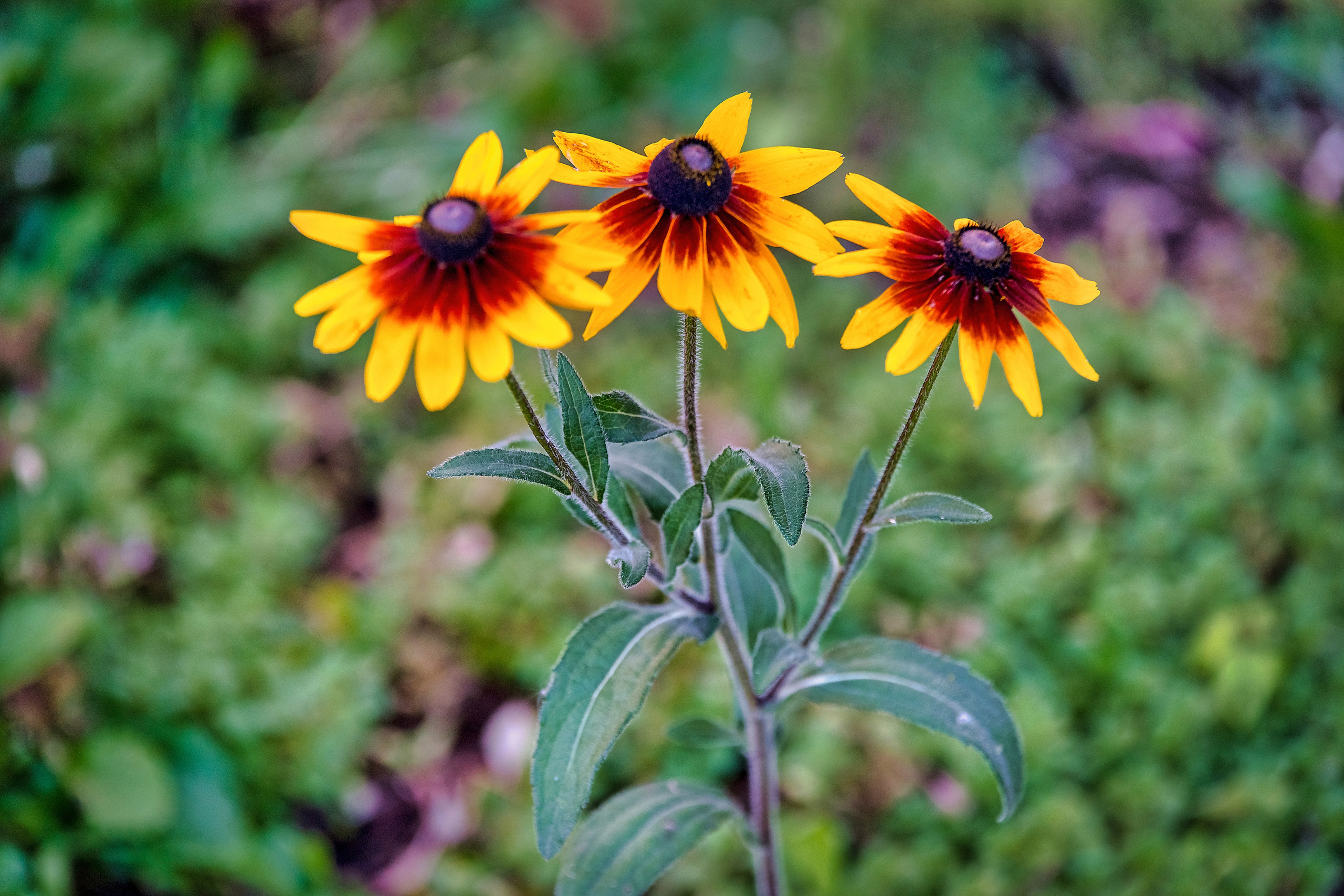 Наша мать — природа. Фотограф Владимир Артамонов