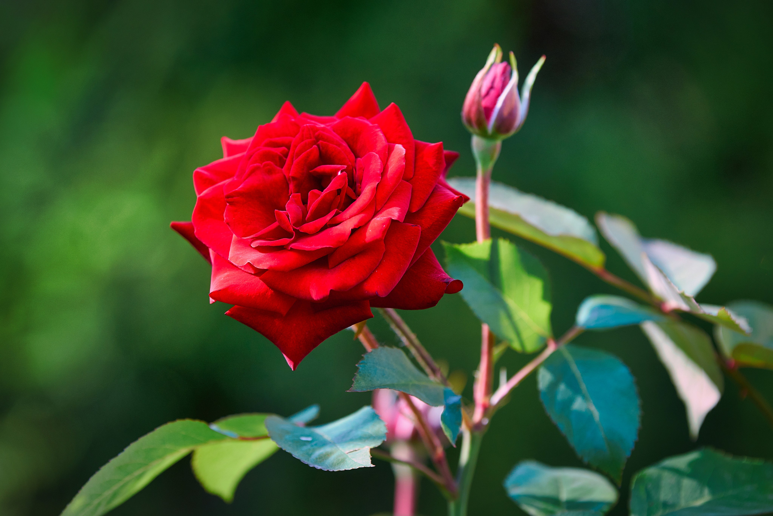 Наша мать — природа. Фотограф Владимир Артамонов