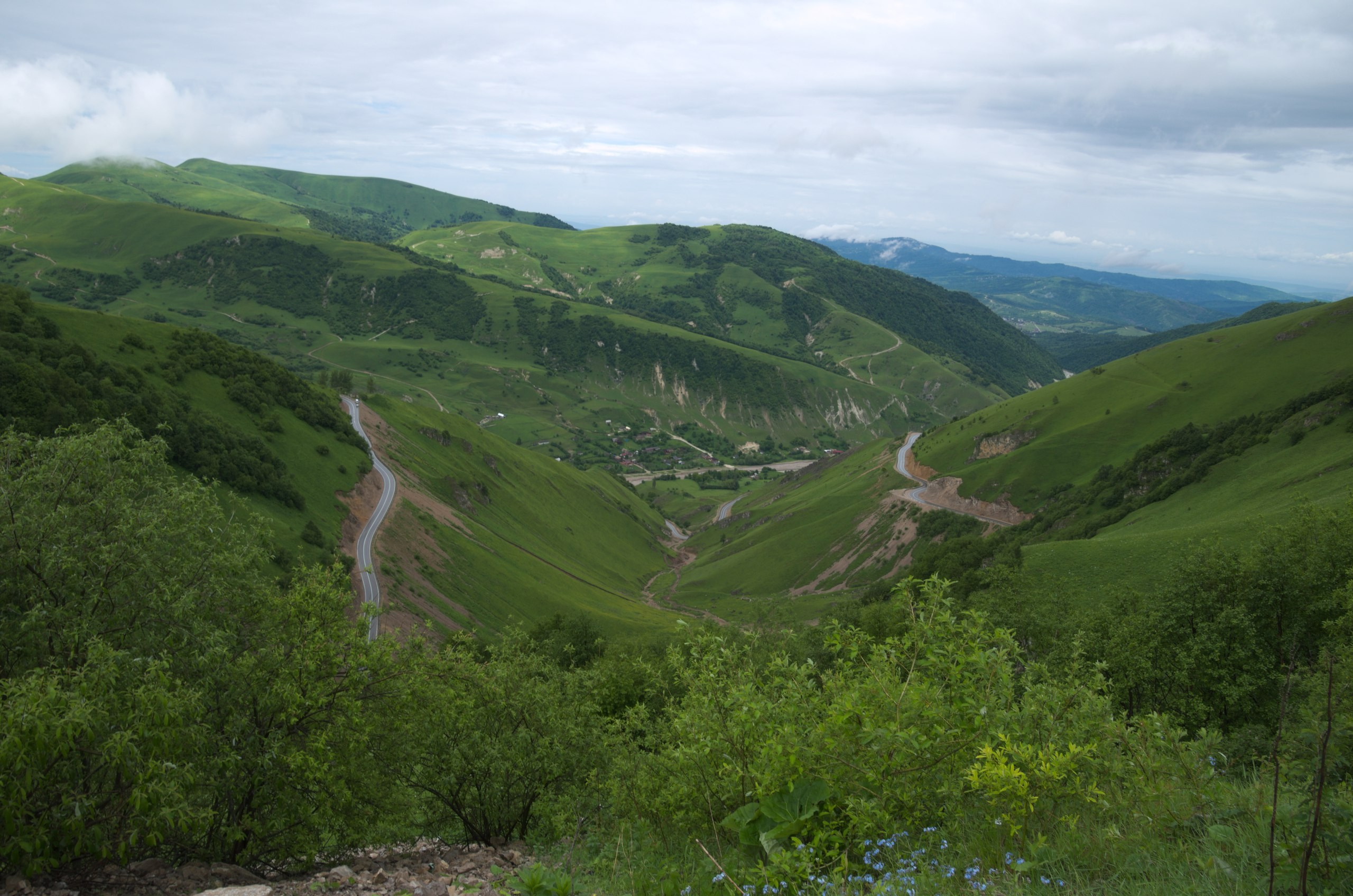 Чечня+Ингушетия | 10-12.06.2017. Галерея Фантим
