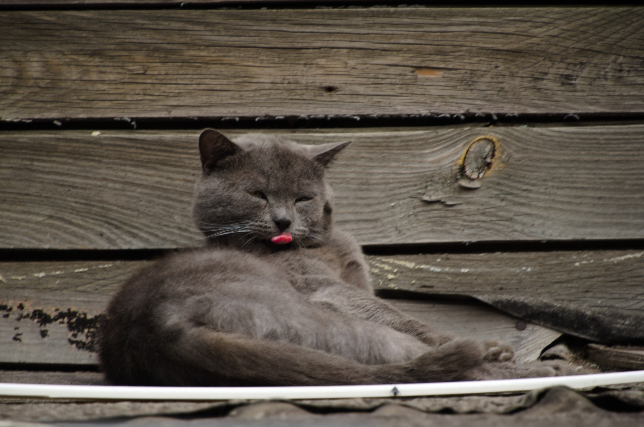 Самара | 05-06.09.2020. Галерея Фантим