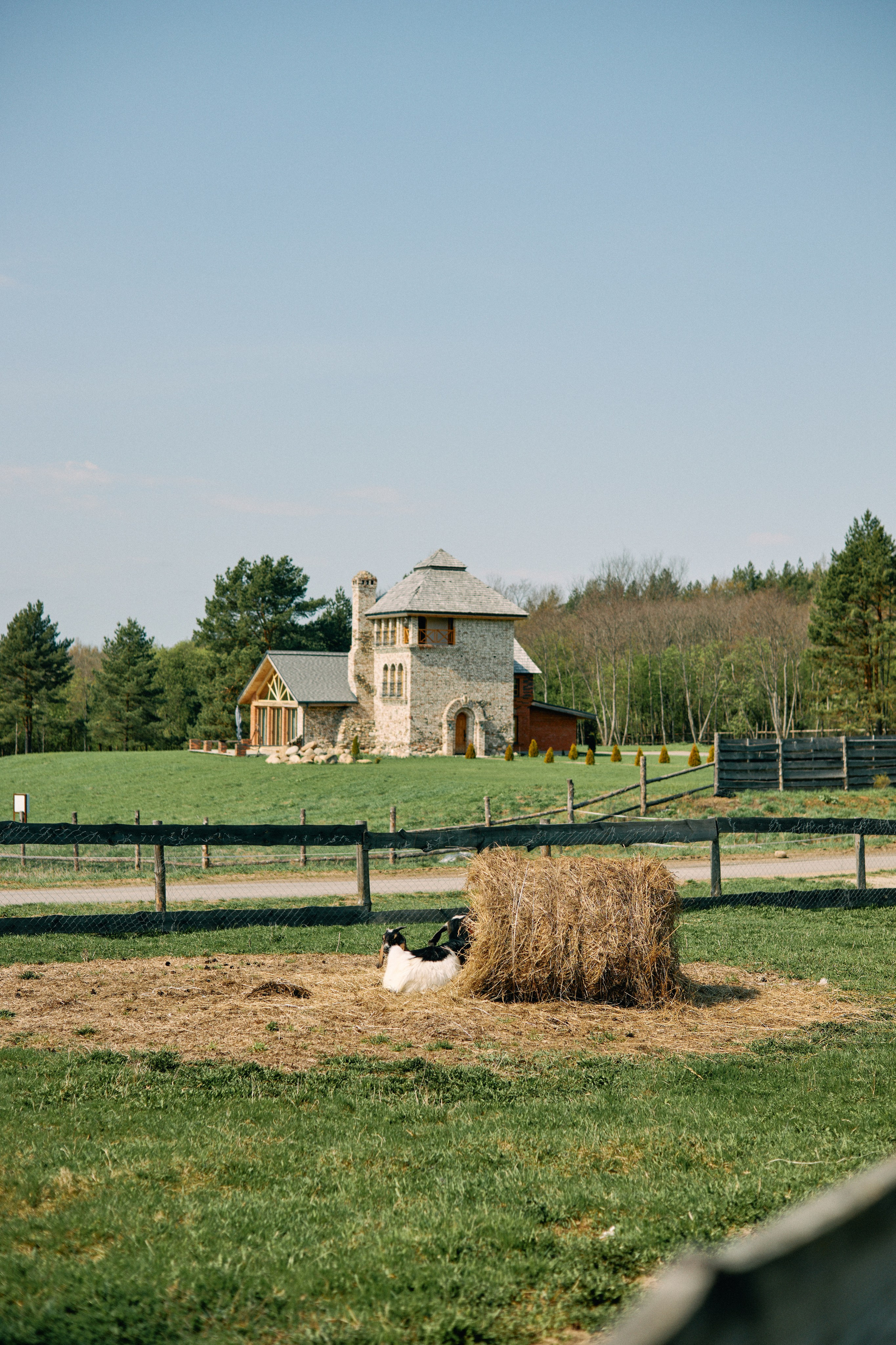 Бутик-отель Поле летом. Профессиональный Фотограф во Владимире, в Москве и в Суздале — Полина Романычева