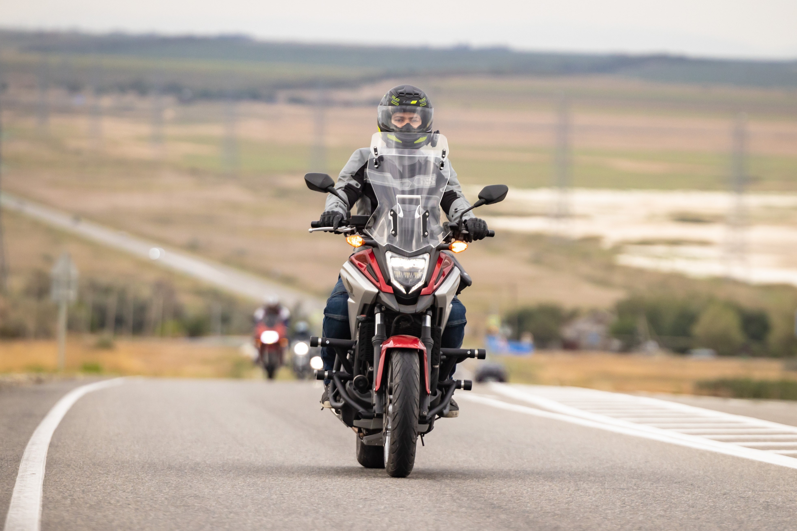 Южное Сафари в Тамани. Сентябрь 2024. Фотограф Владимир Охрименко