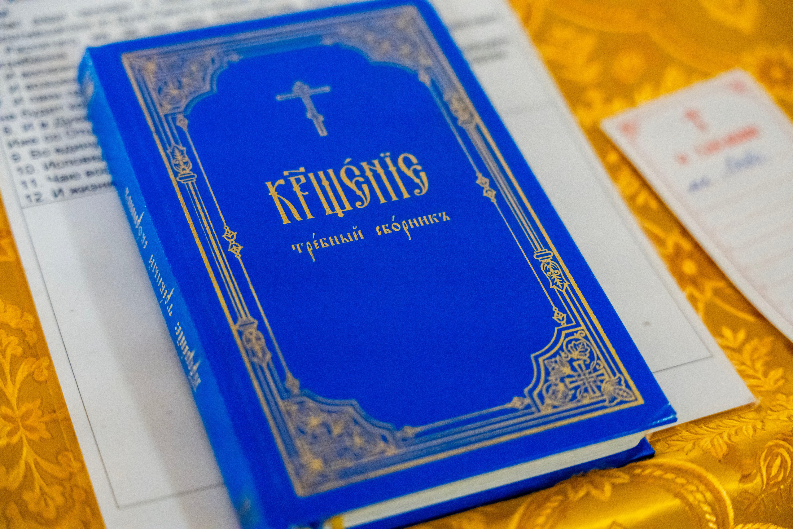 Крещение Льва. Фотограф Юлия Попова