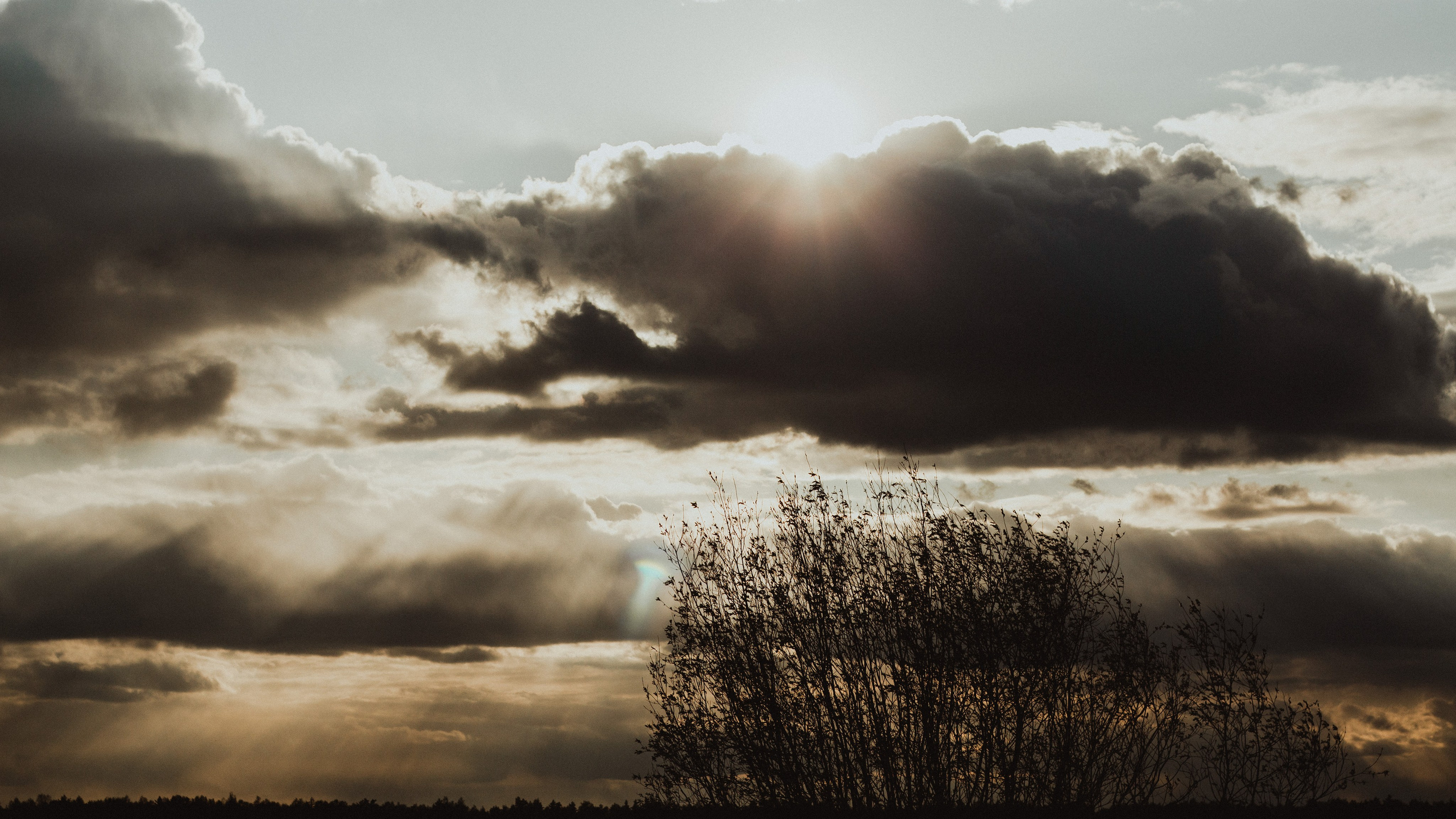 Киржач. Мария Колесникова