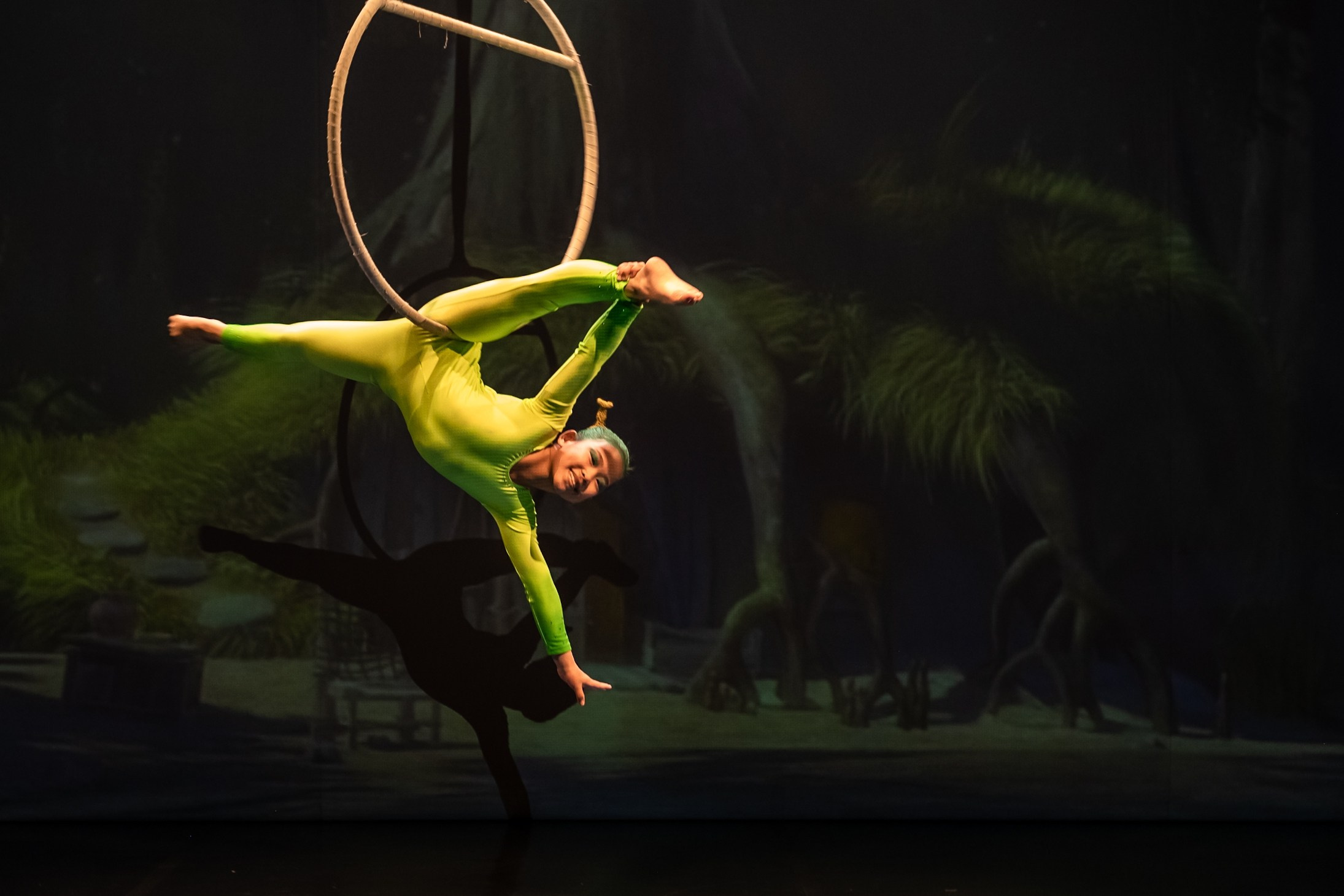 Отчетное выступление студии воздушной гимнастики Sport Evolution. Свадебный и семейный фотограф София Невская