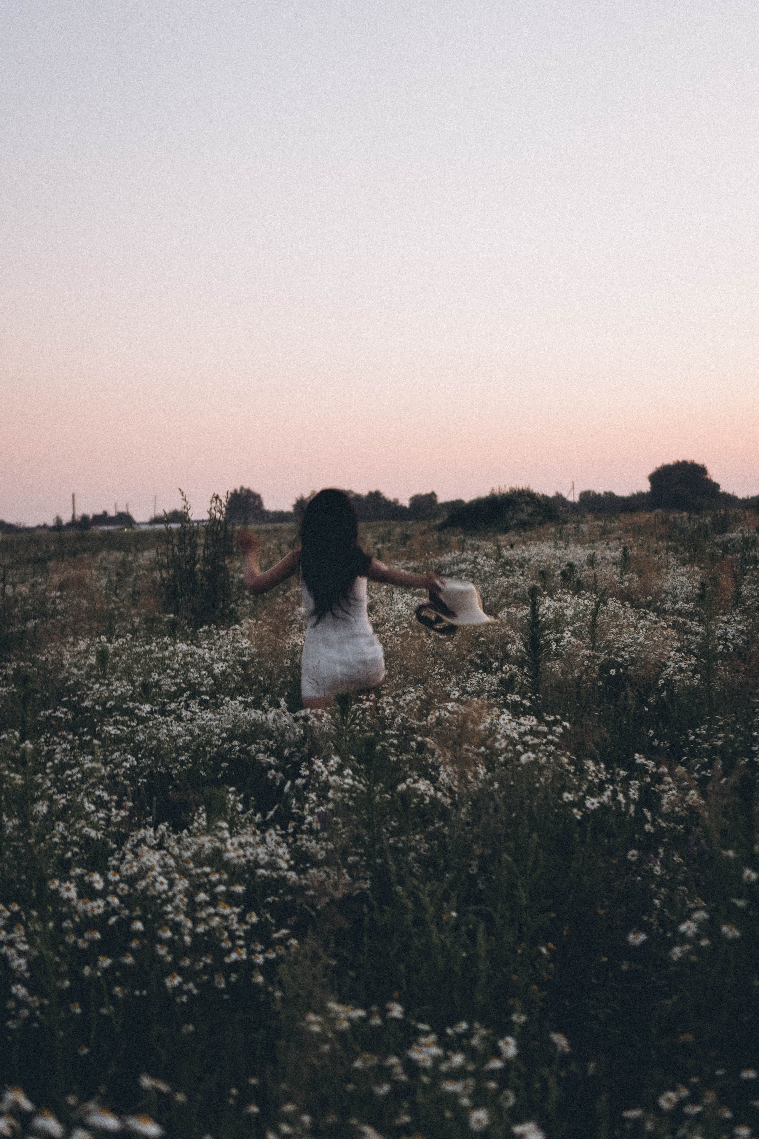 Ромашковое поле. Профессиональный фотограф, Санкт-Петербург — Виктория Богомолова