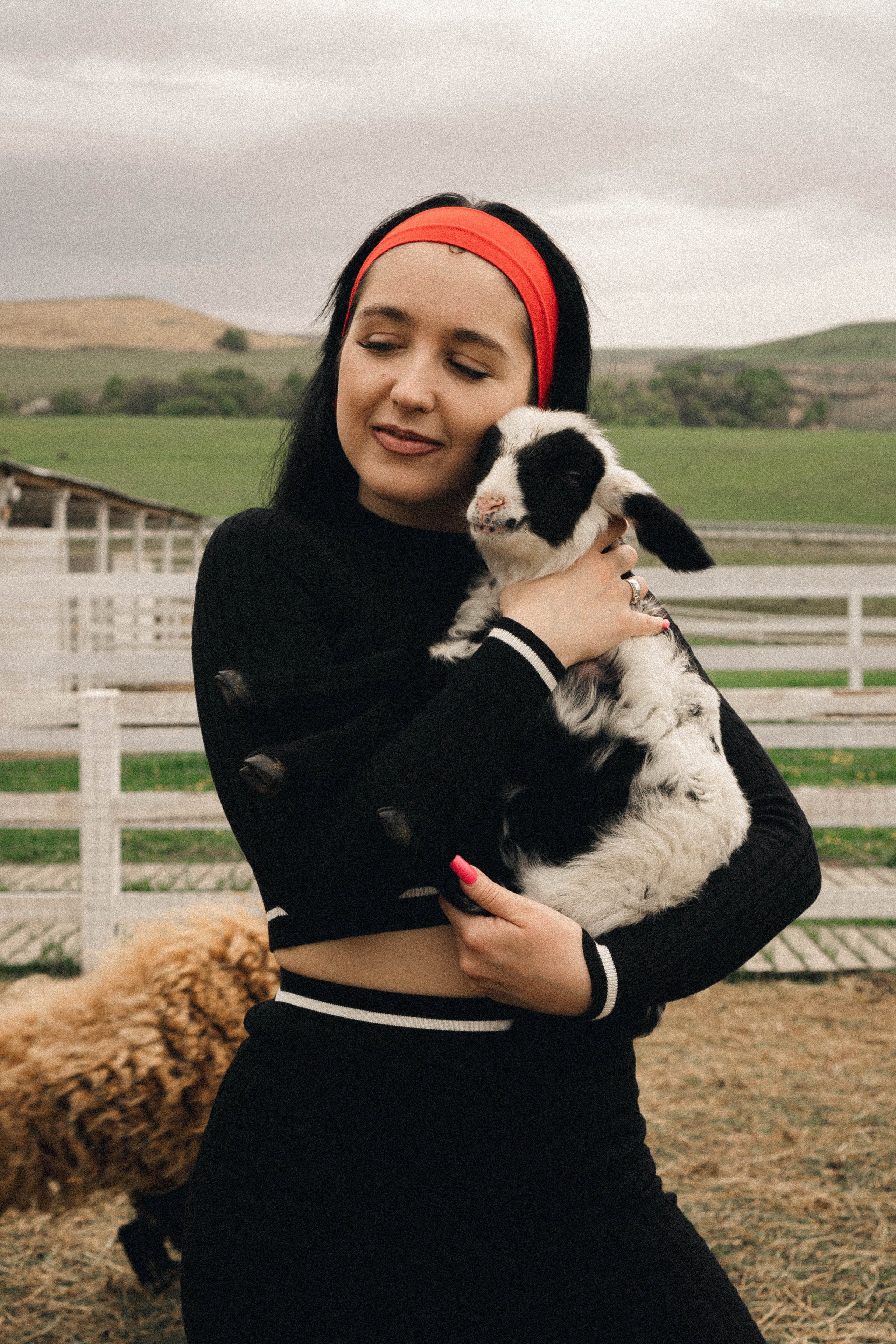 Ферма Альпак. Профессиональный фотограф, Санкт-Петербург — Виктория Богомолова