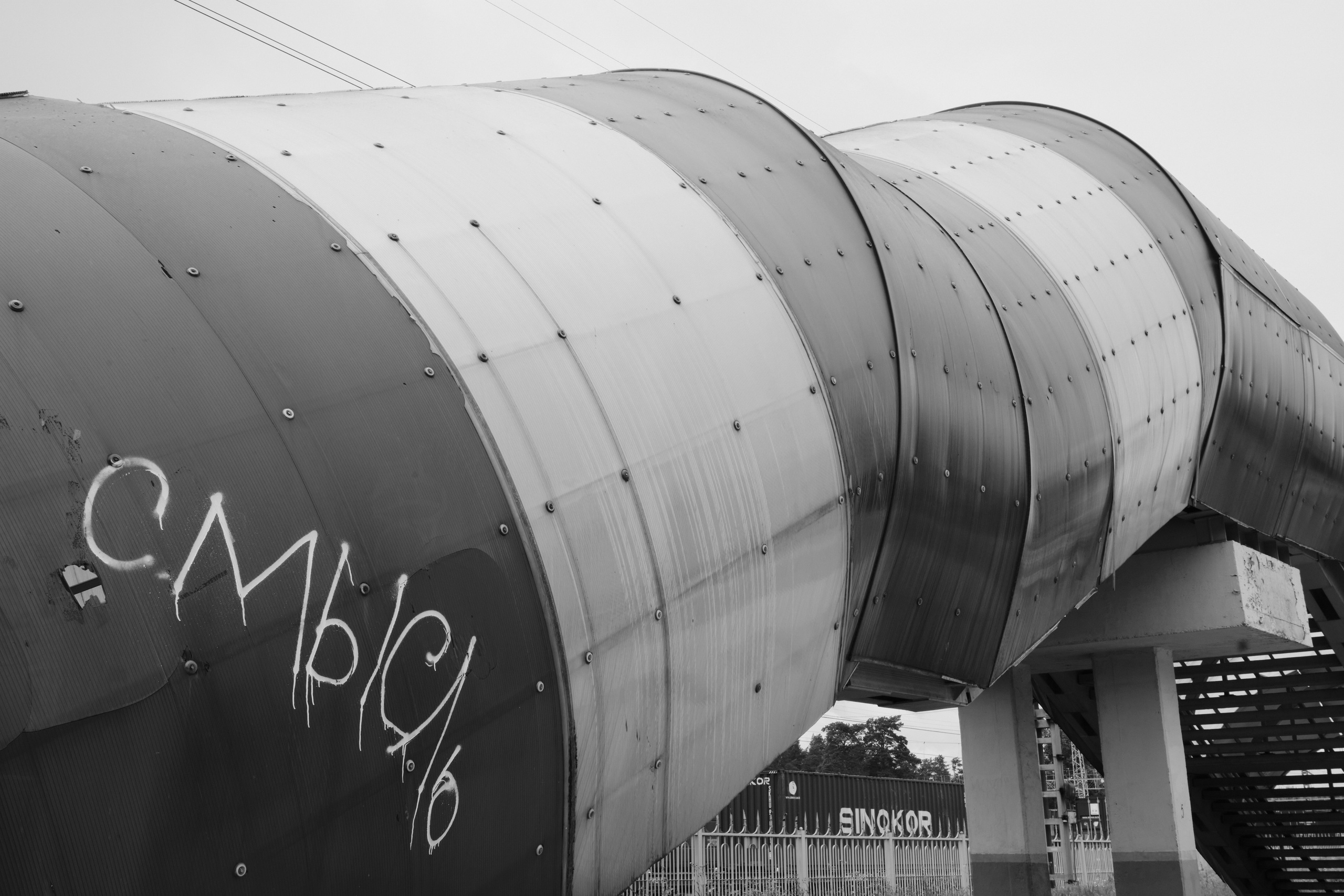 Академ-городок и ботанический сад. Goncharov Tim