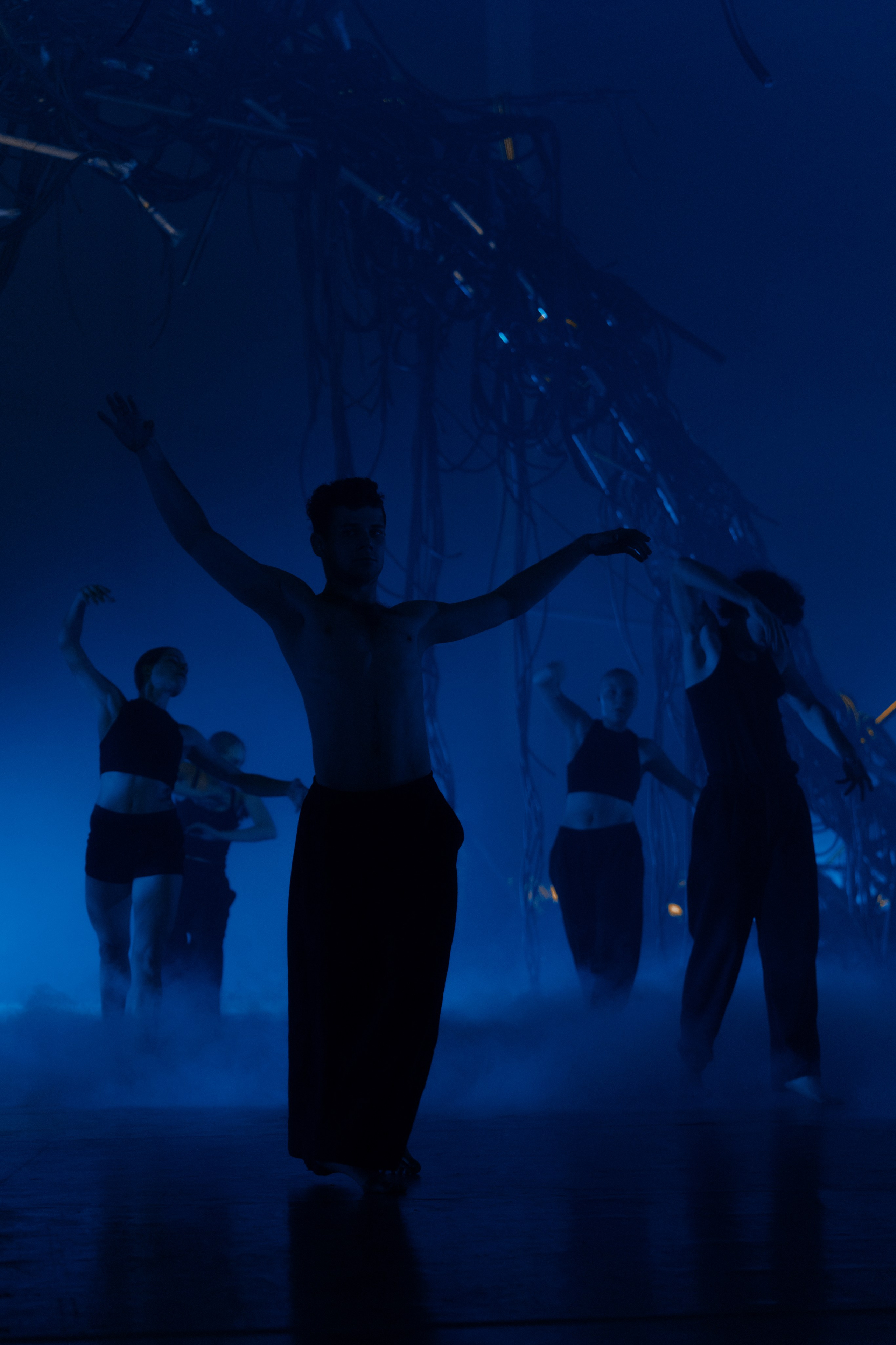 PERFORMA, The Hour of the Horse. @tomrus: Рустам Шагиморданов — фотограф