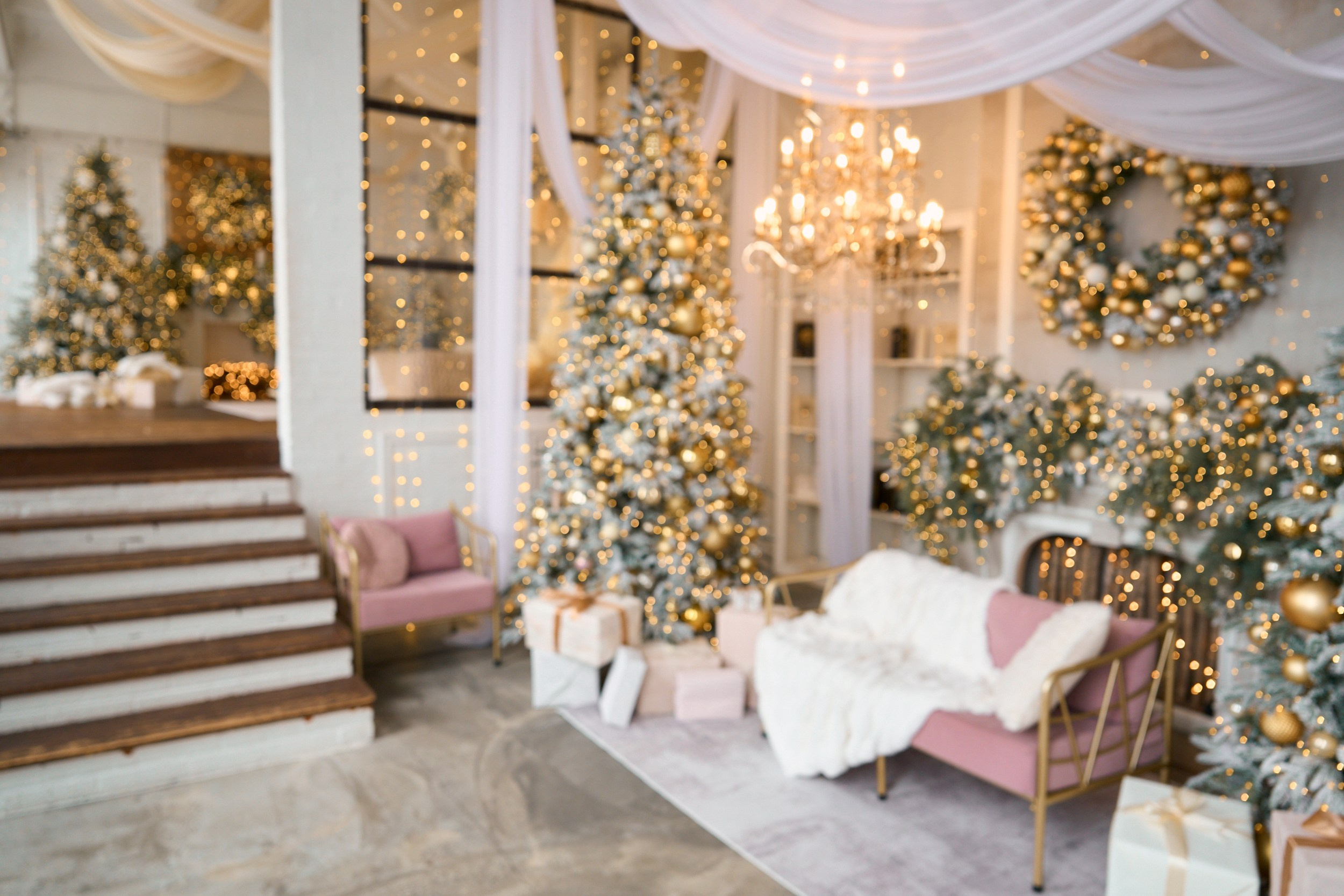 Флэт (Flat). Фотограф г. Хабаровск. Семейные и индивидуальные съёмки