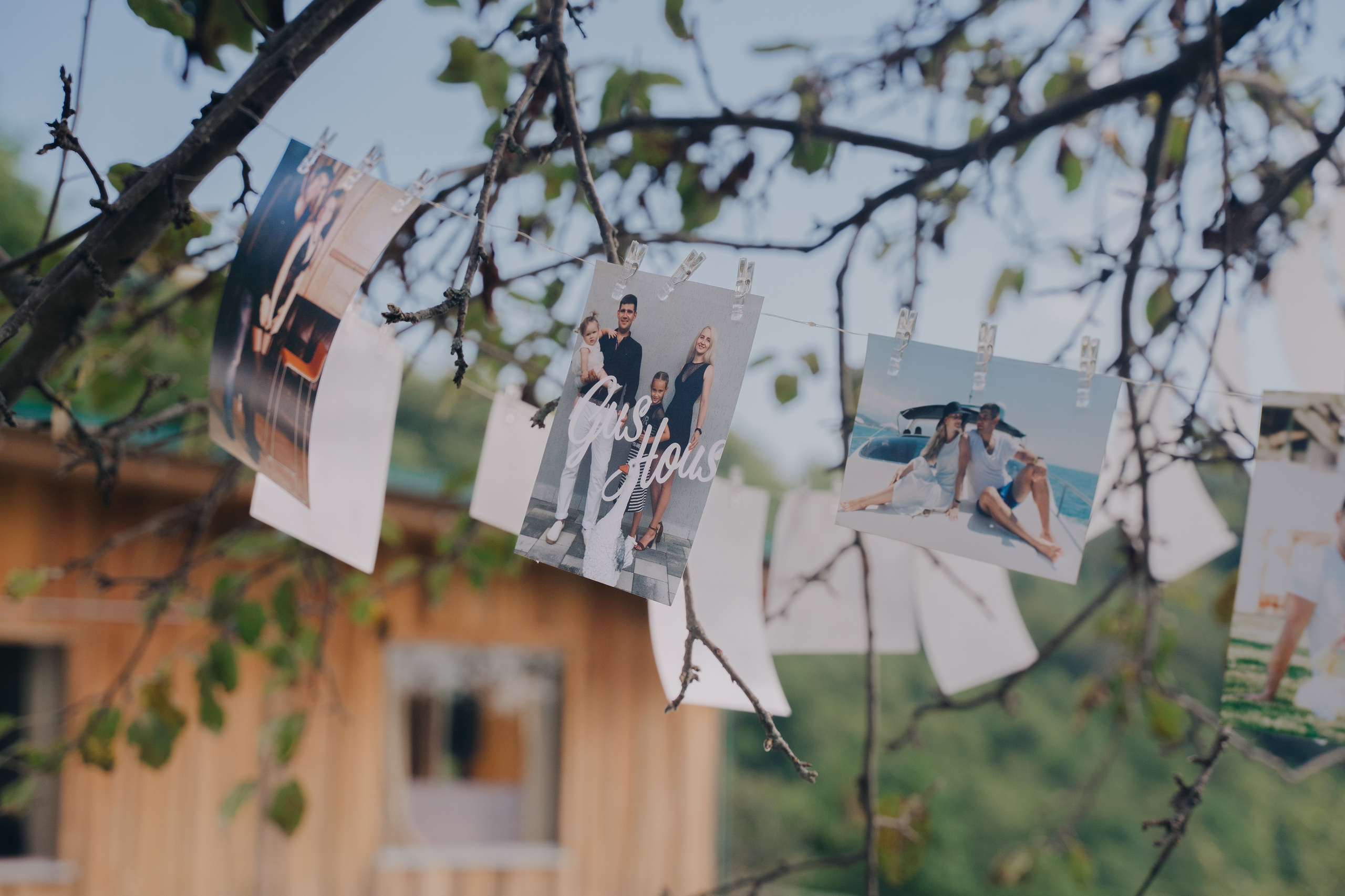 Снимок деталей в виде фото висящих на ветке 