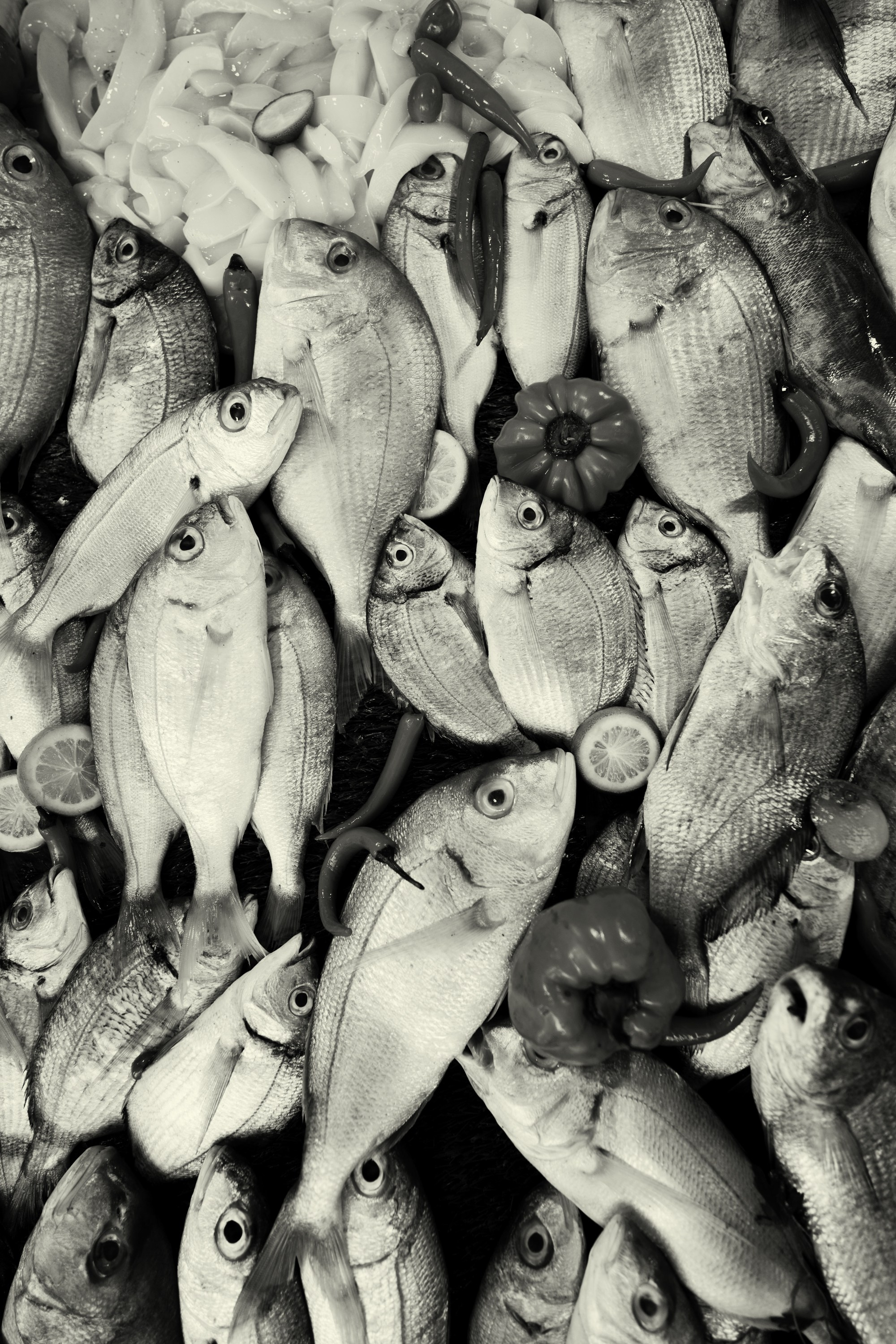 Северная Африка: Тунис, Марокко. Фотограф в Хабаровске. Фотография за 24 часа