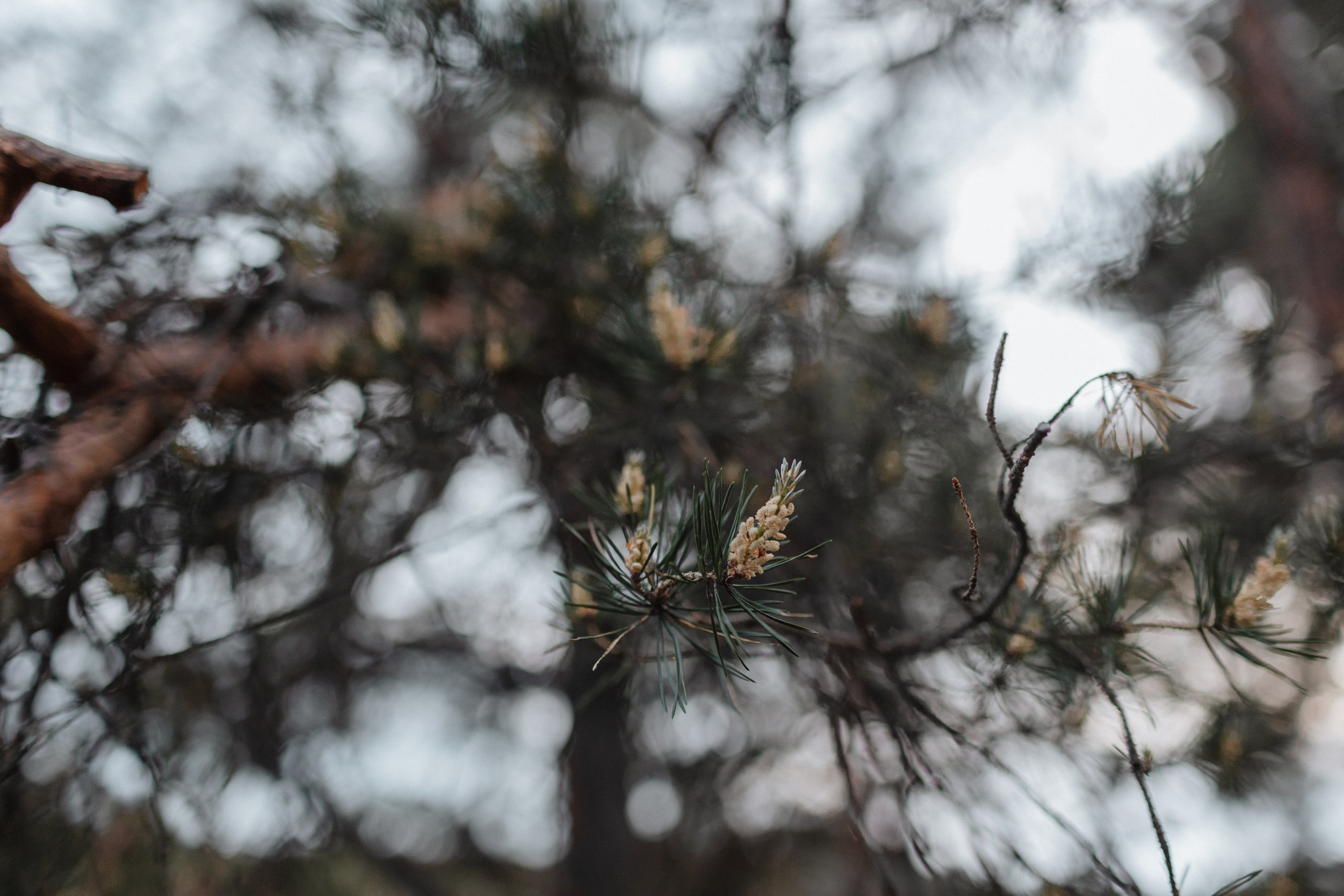 Фотосессия мама и сын. Фотограф Лодейное Поле Екатерина Герасимова в Санкт-Петербурге и Лен. области