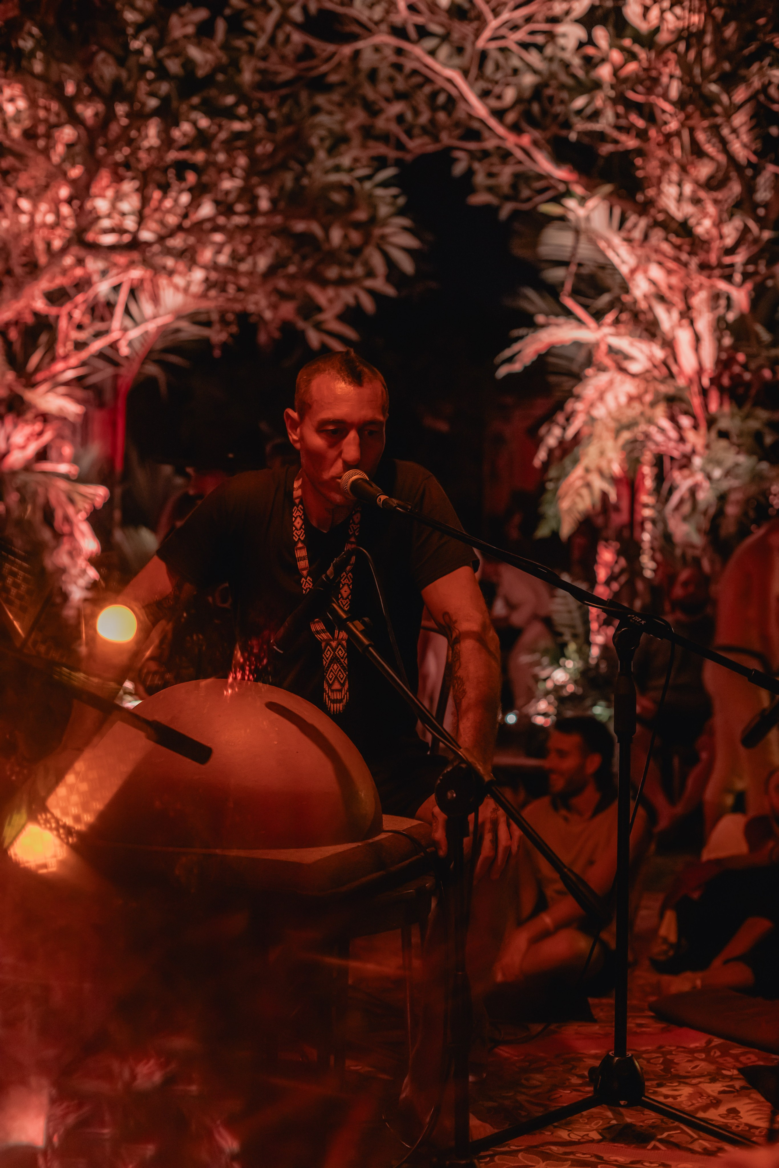 Alegria festival at Zest. Мариам Багдасарян