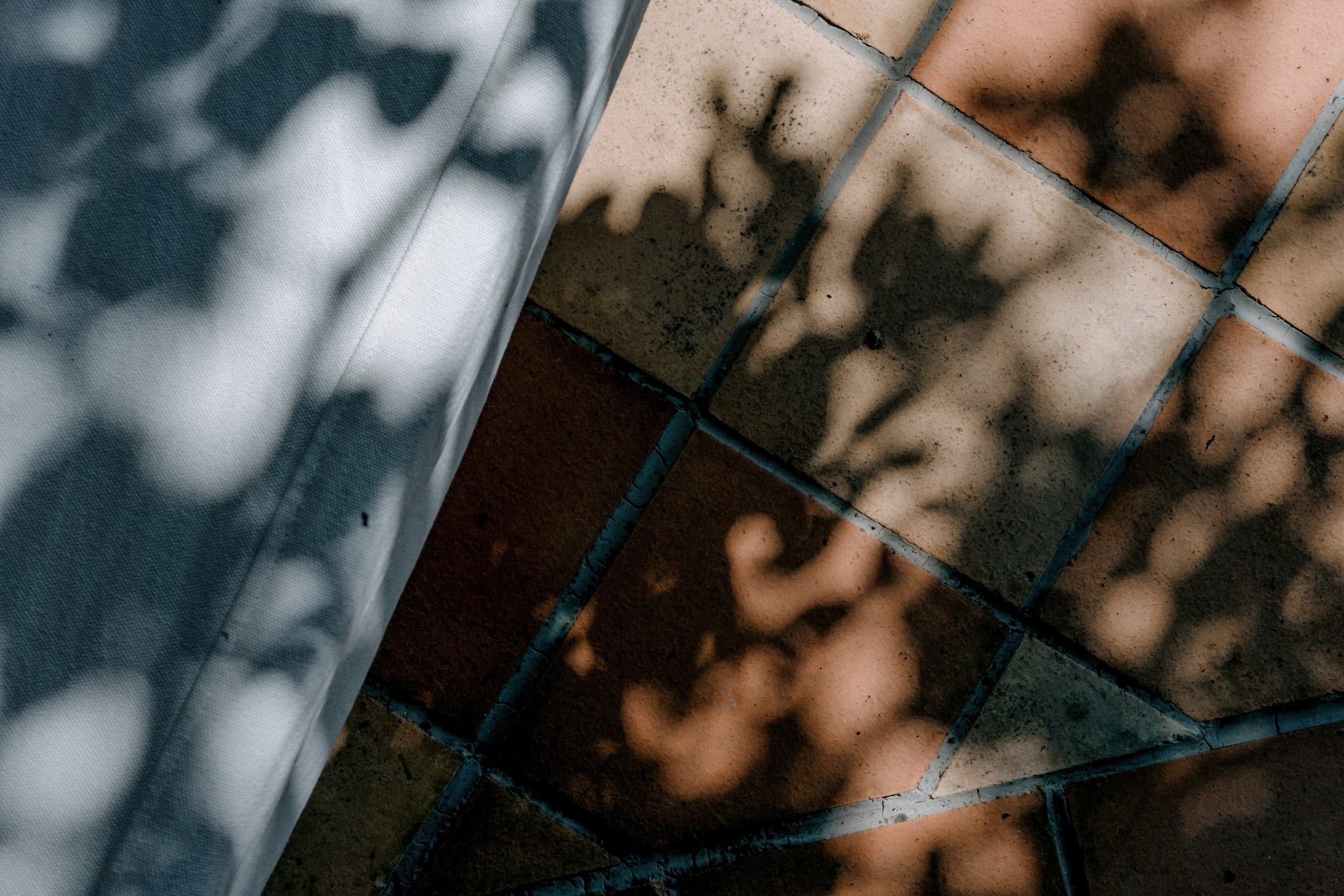 Where tulips meet birch trees. Wedding & Documentary Photographer based in Nuremberg — available across Europe & Turkey | Vitalii Nasonov