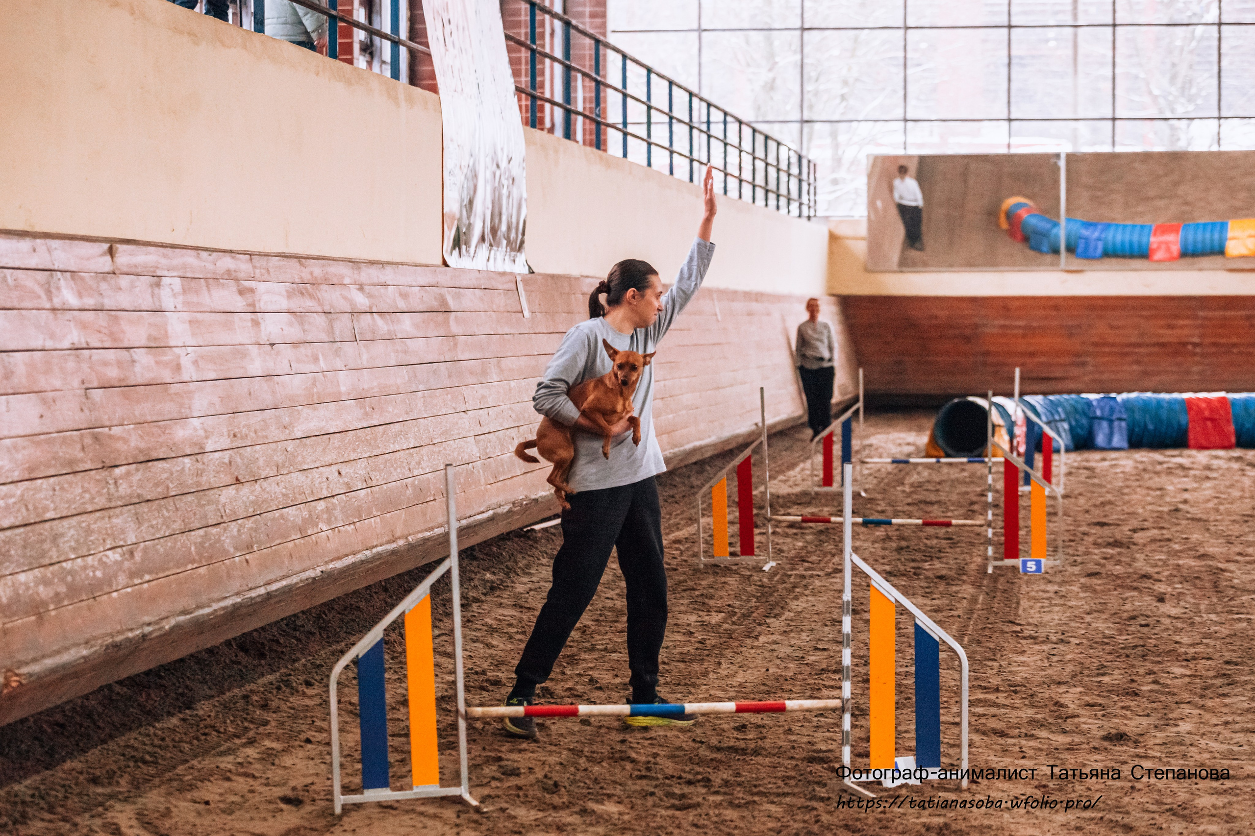 Соревнования по Аджилити 25.02.2024. Фотограф-анималист Татьяна Степанова