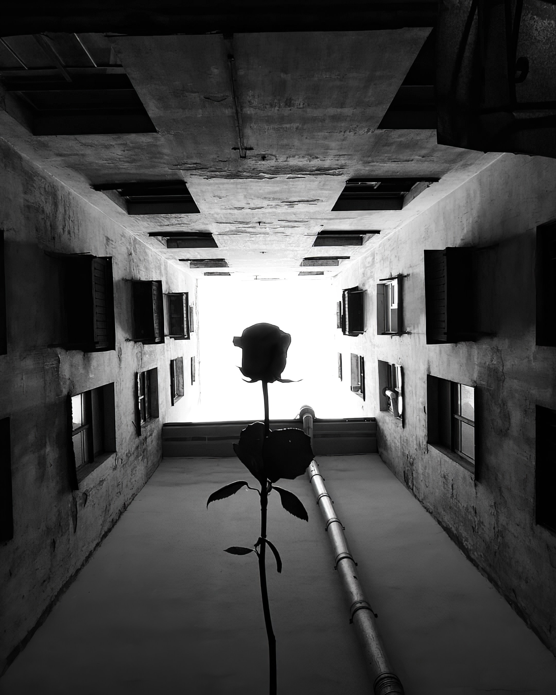 Мобильное. Дмитрий Ратихин. Видеограф и фотограф в Санкт-Петербурге и Москве