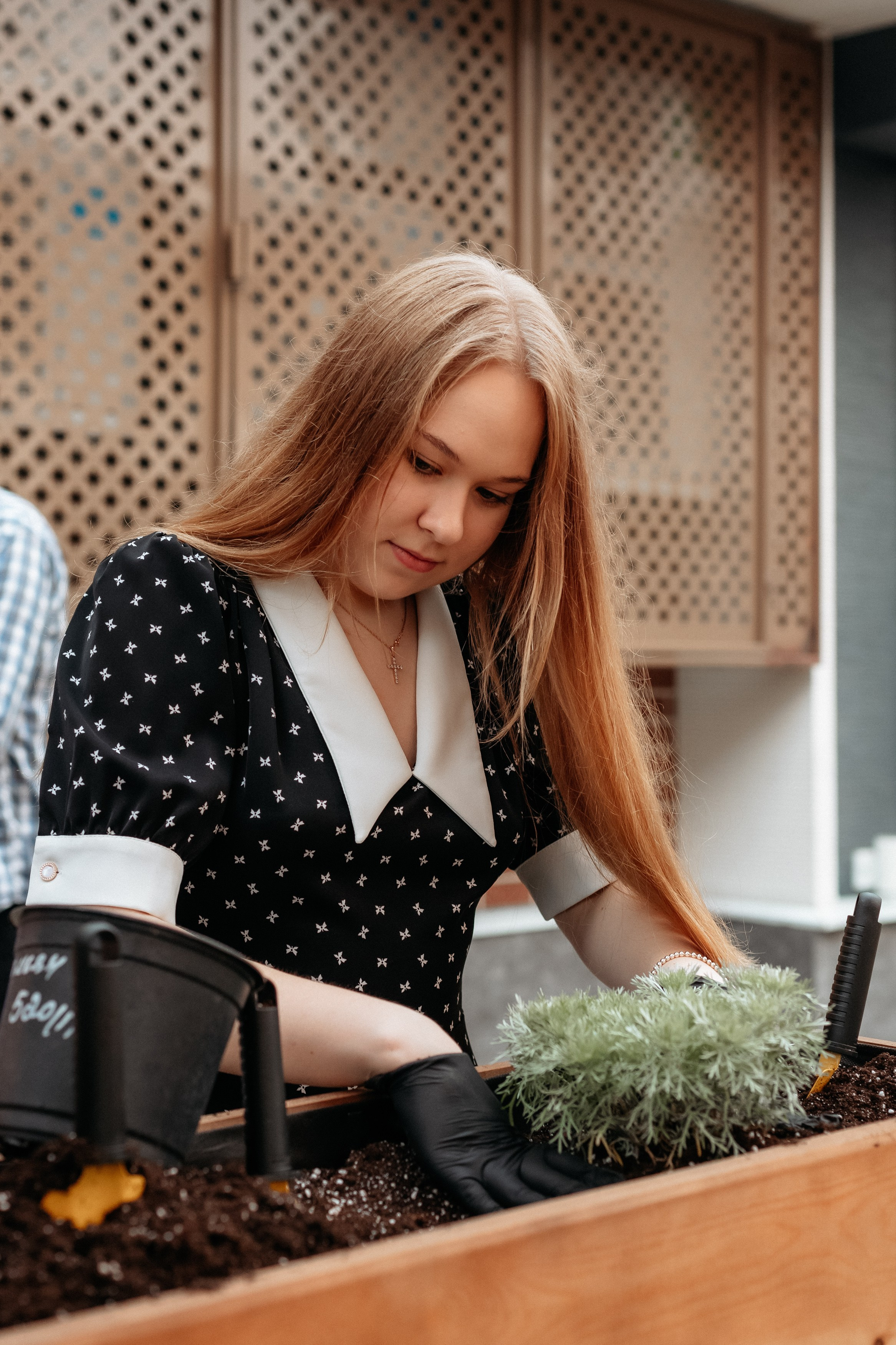 РЕСНОТА — ОТКРЫТИЕ ТЕРРАСЫ. СВОИ. ФОТООТЧЕТЫ-СОБЫТИЯ-МЕСТА