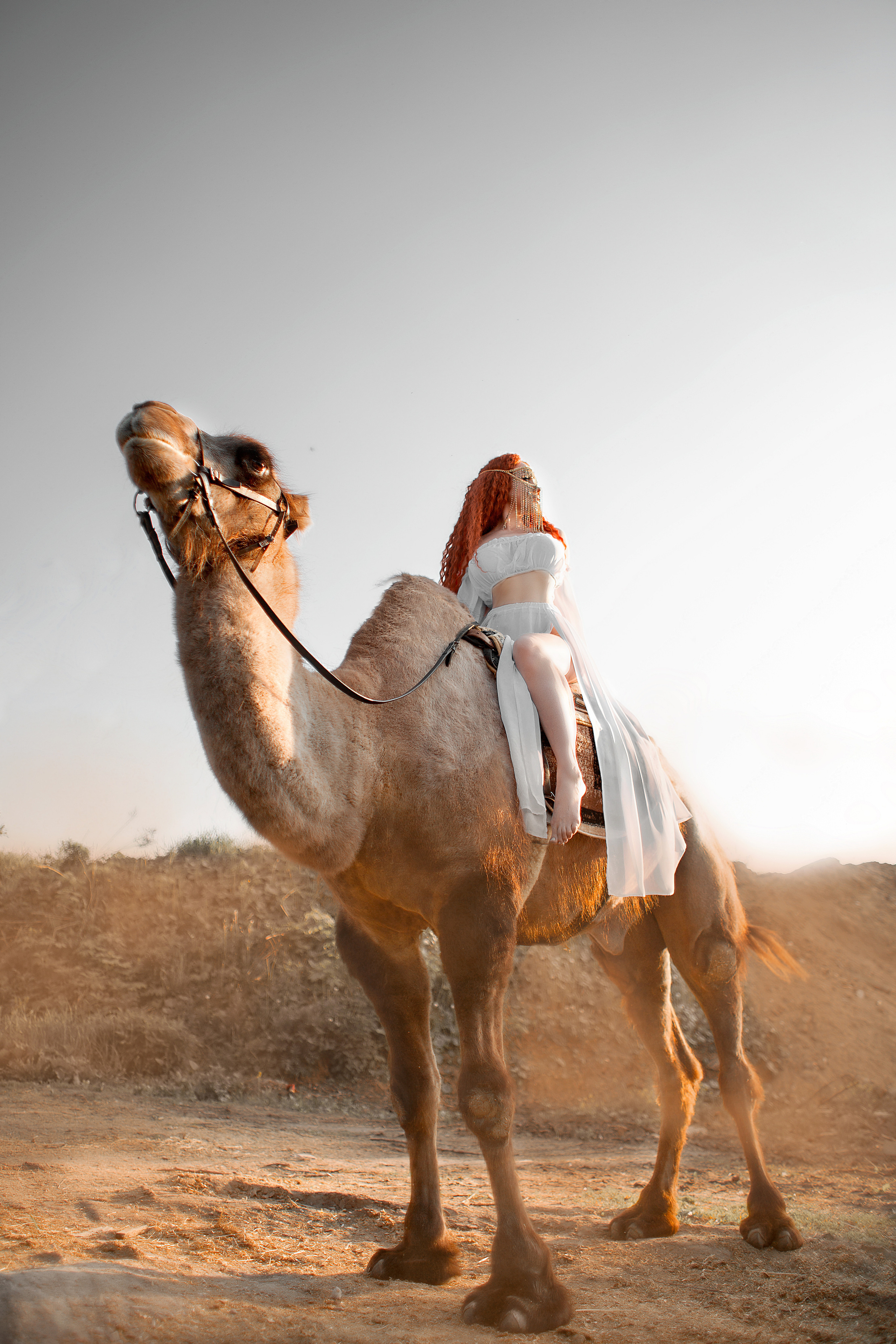 Костюм в восточном стиле. Фотосессия с лошадьми в Нижнем Новгороде