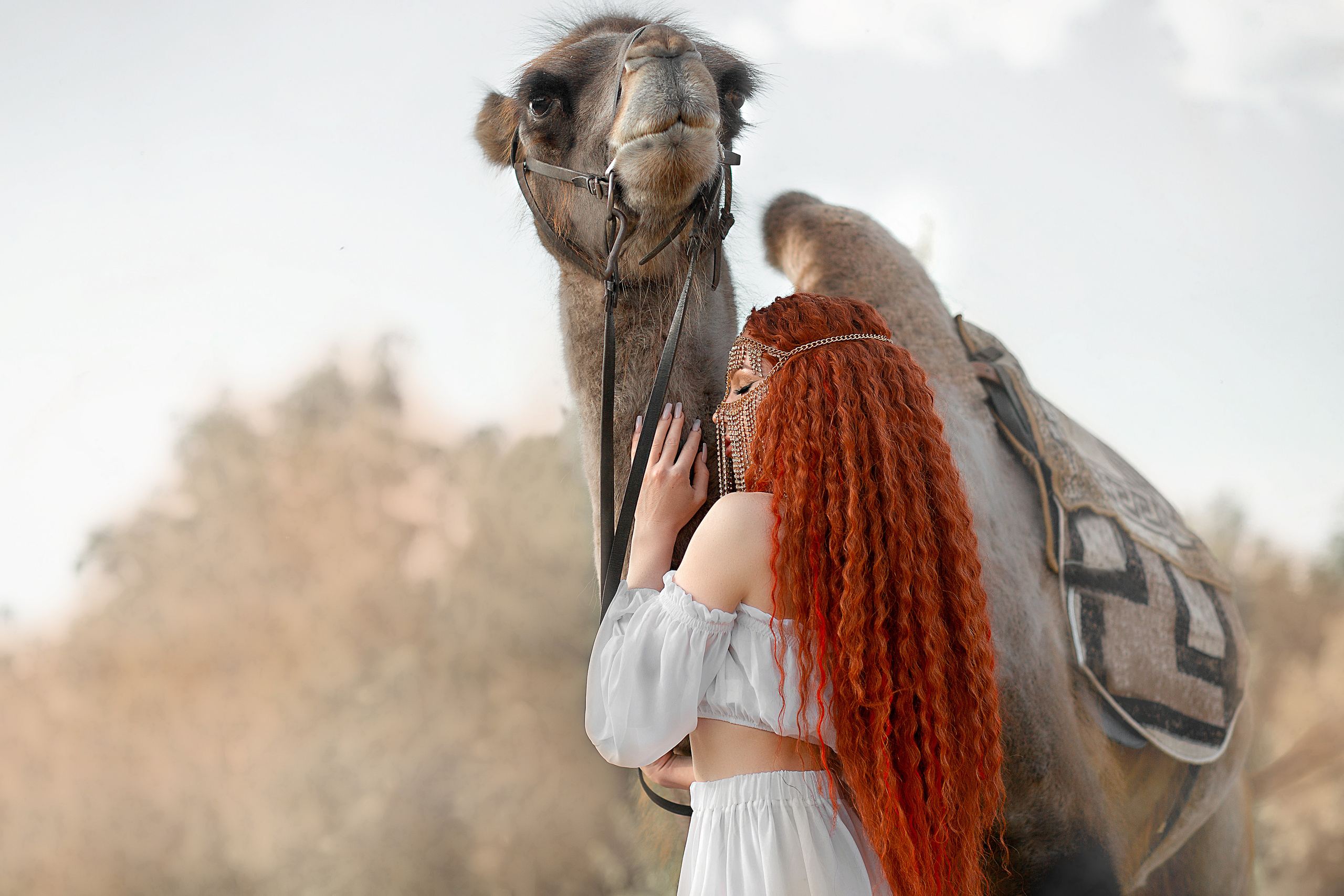 Фотосессия Софьи с Семеном. Фотосессия с лошадьми в Нижнем Новгороде