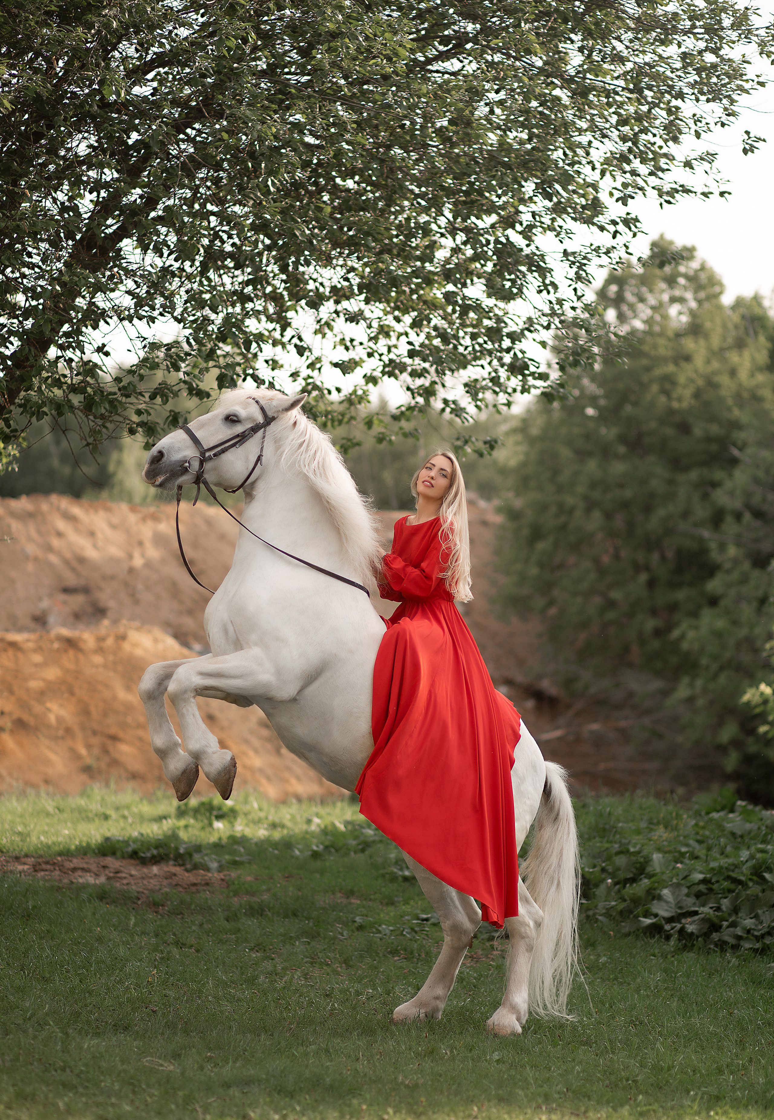 Вера и Воробей. Фотосессия с лошадьми в Нижнем Новгороде