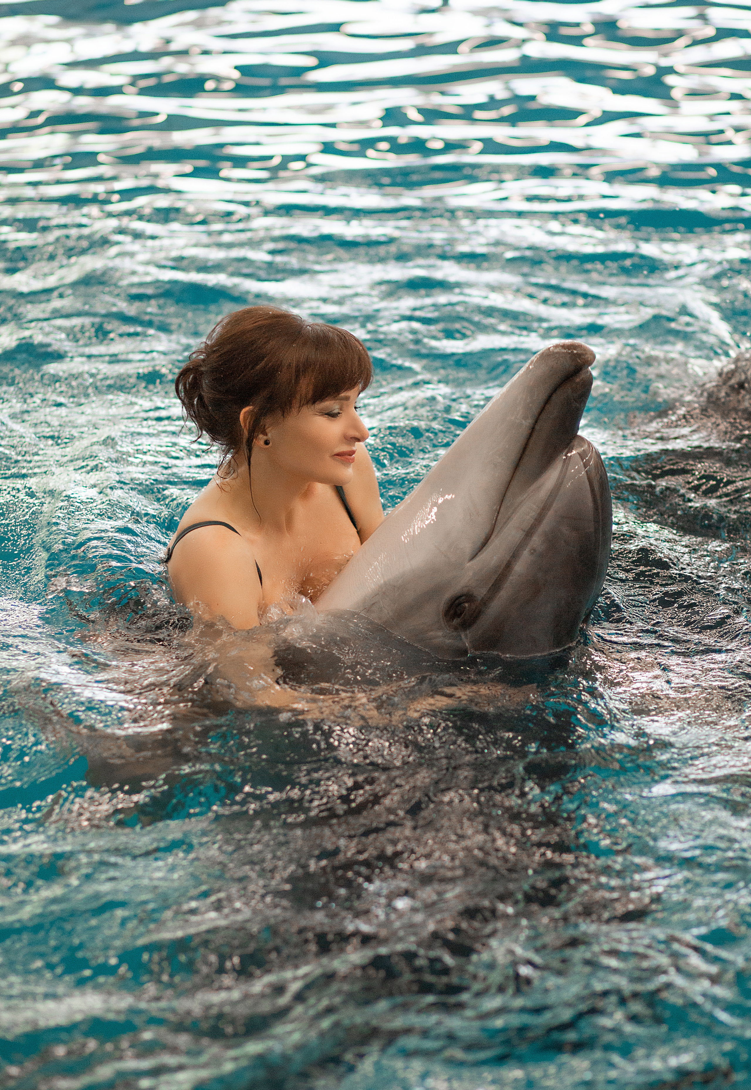 Фотосессия Аллы с дельфинами. Фотосессия с лошадьми в Нижнем Новгороде