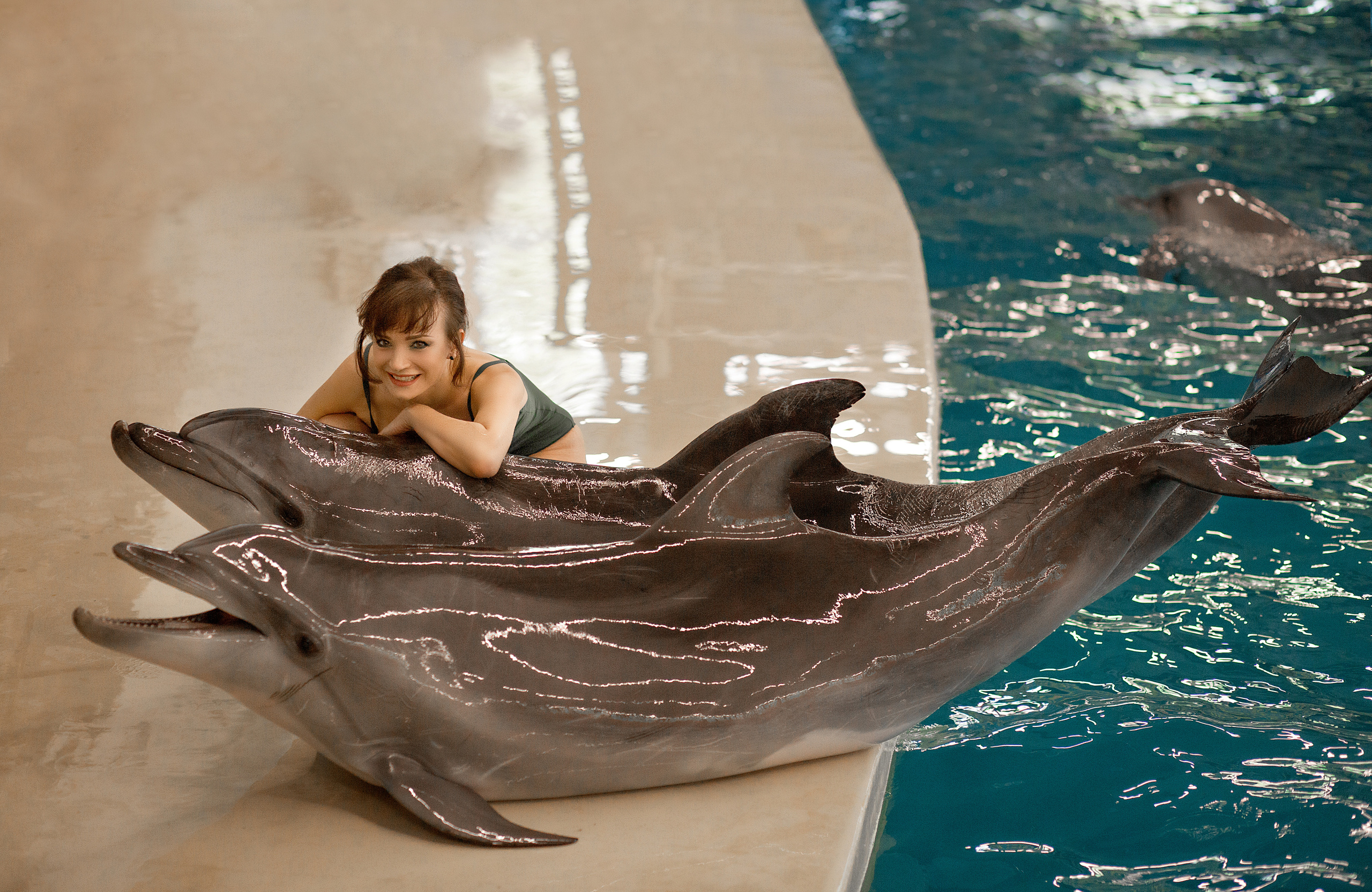 Фотосессия Аллы с дельфинами. Фотосессия с лошадьми в Нижнем Новгороде