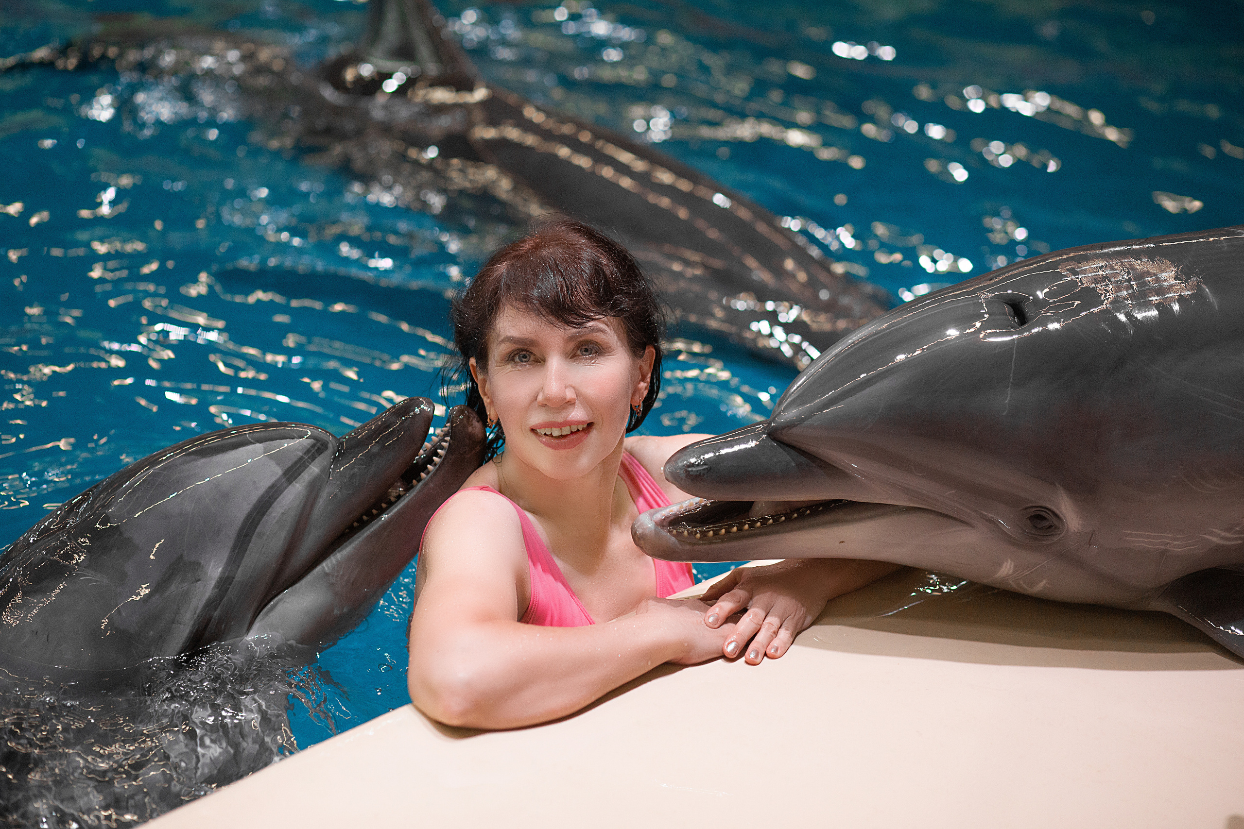 Фотосессия Елены с дельфинами. Фотосессия с лошадьми в Нижнем Новгороде