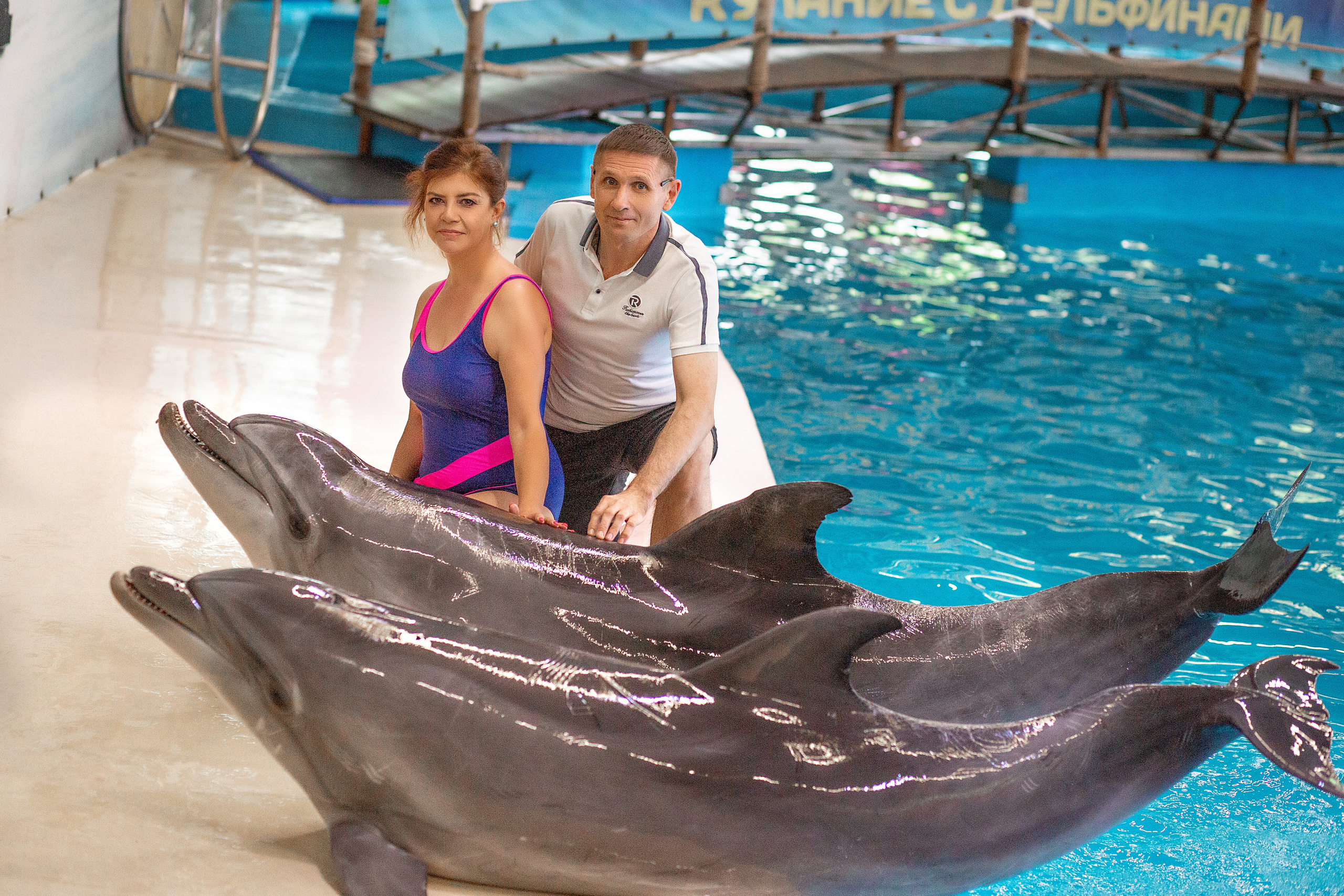 Екатерина с дельфинами. Фотосессия с лошадьми в Нижнем Новгороде