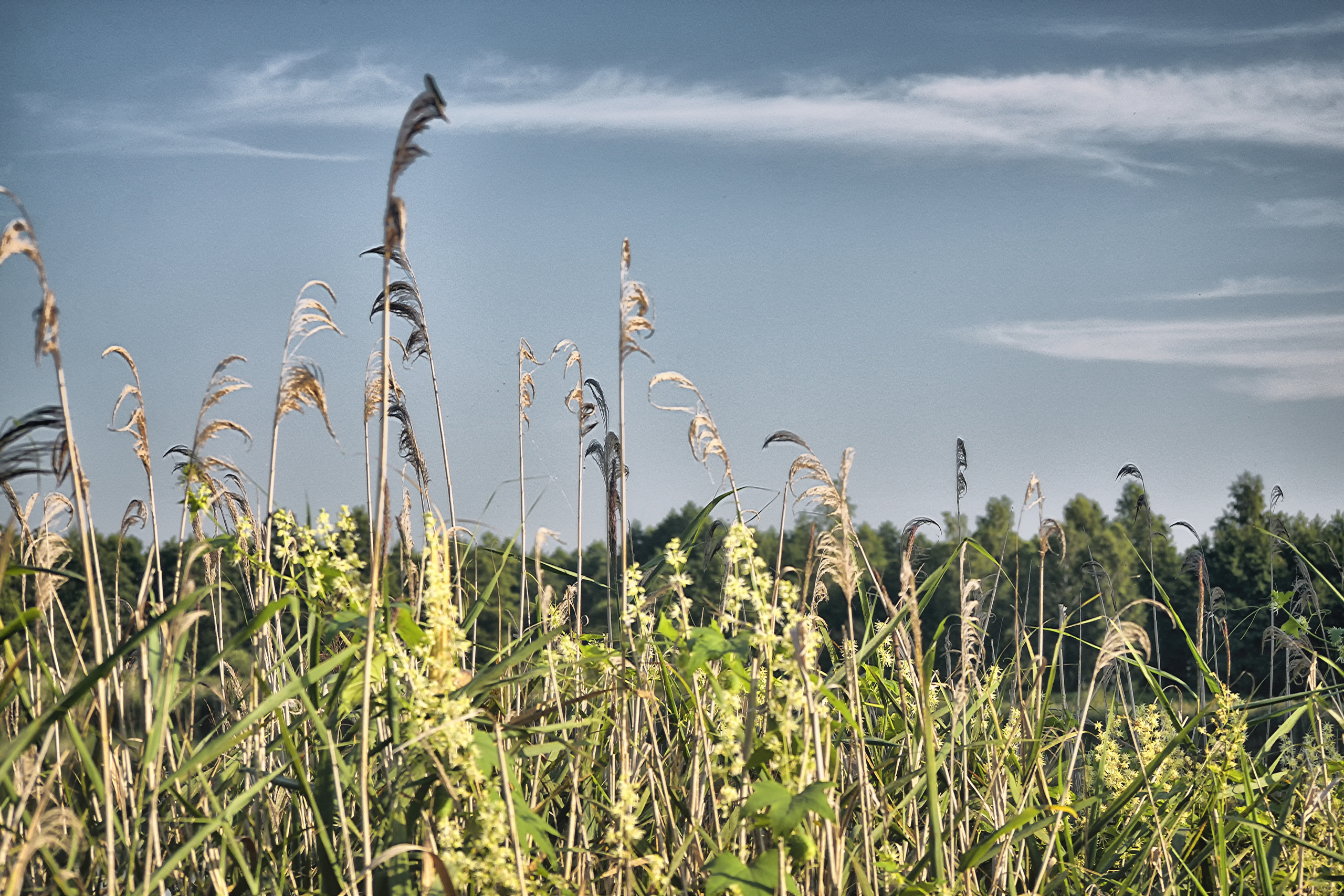 Пейзажи. Свадебный фотограф Олег Шатохин  Москва и Московской область